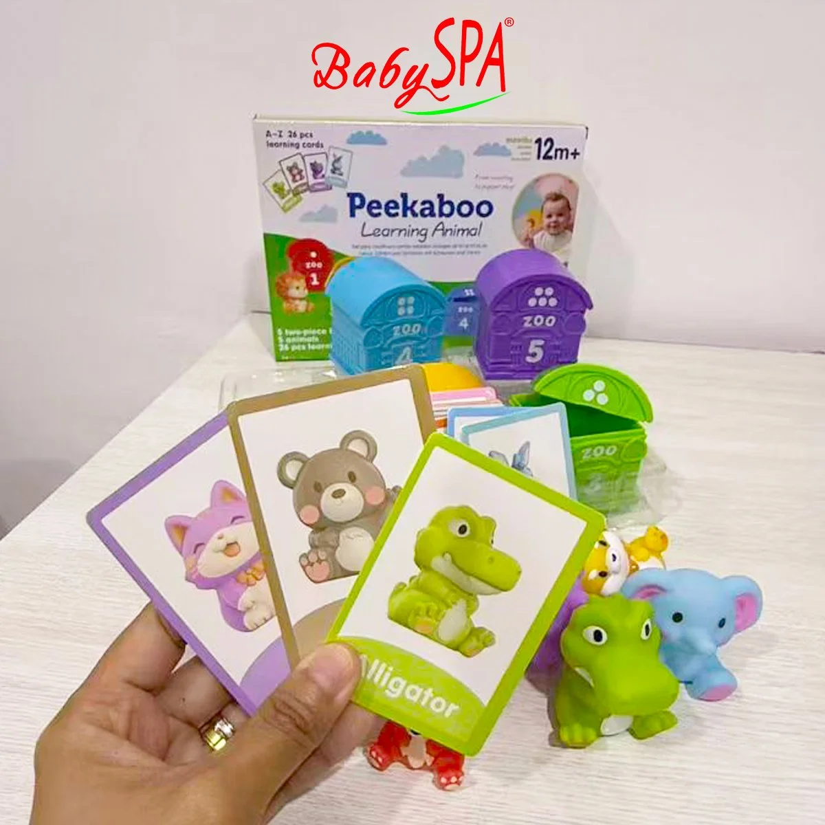 7-Peekaboo Animals and Flash Cards A-Z for Learning-SQ22003.jpg