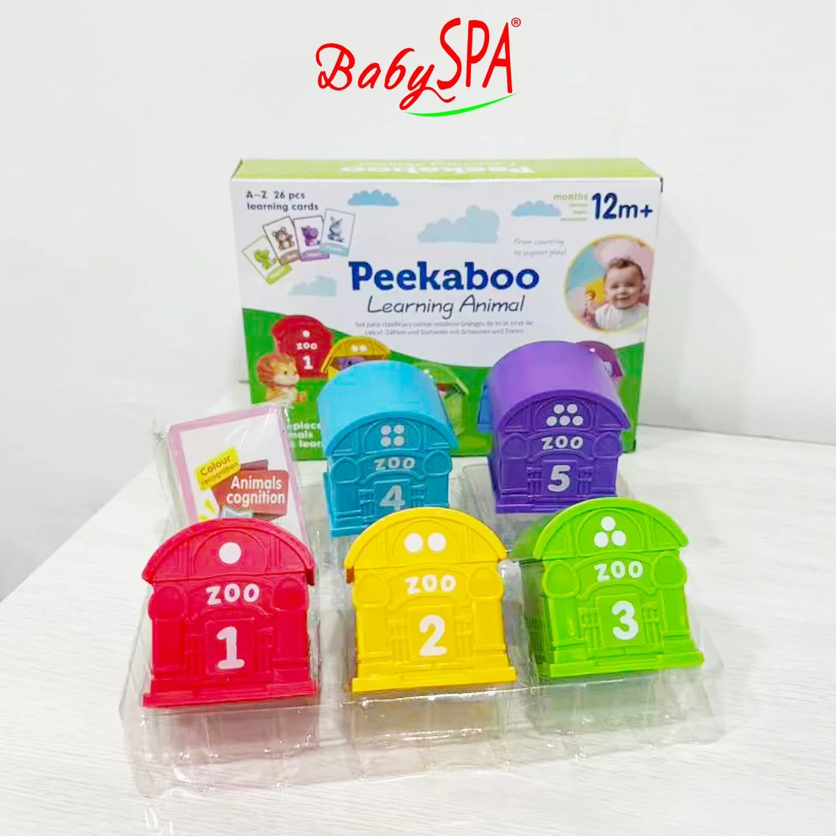 2-Peekaboo Animals and Flash Cards A-Z for Learning-SQ22003.jpg