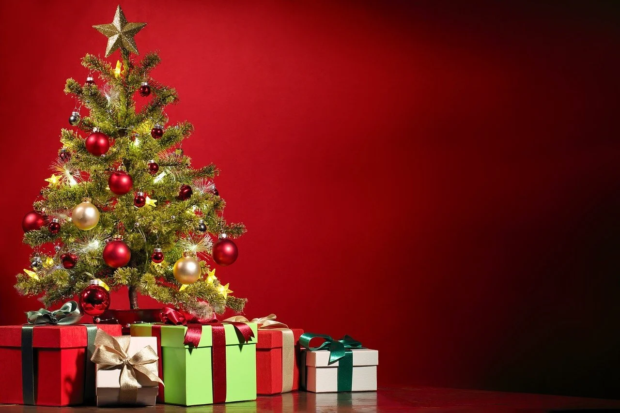 4 Reasons Plants Make the Best Christmas Presents
