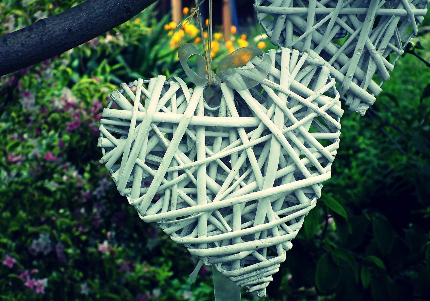 Ep. 356 | Love in the Garden