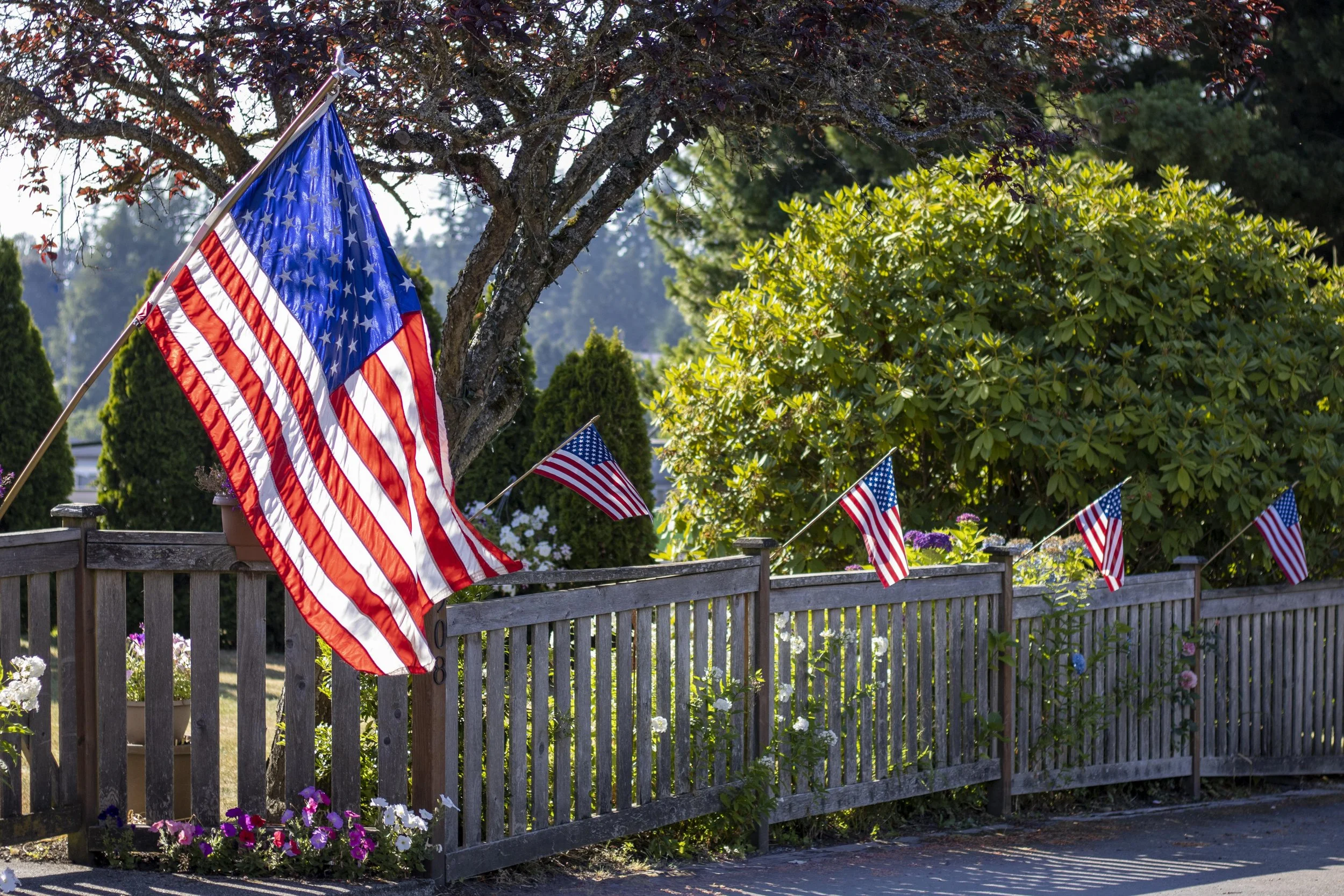 Ep. 376 | The Plants That Made America