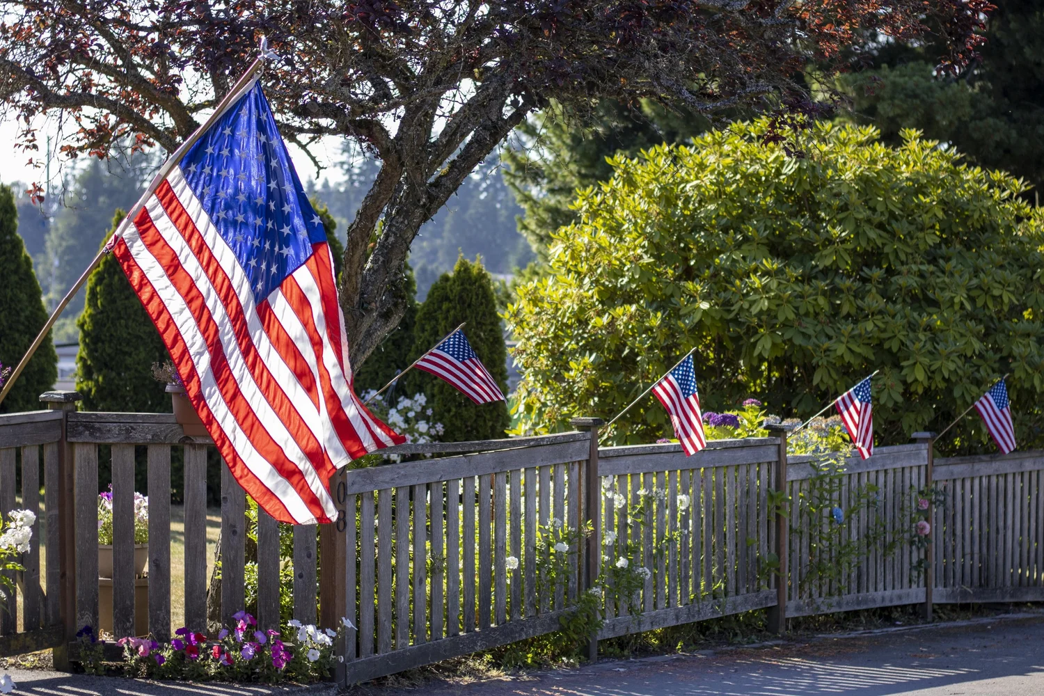 Ep. 376 | The Plants That Made America episode artwork