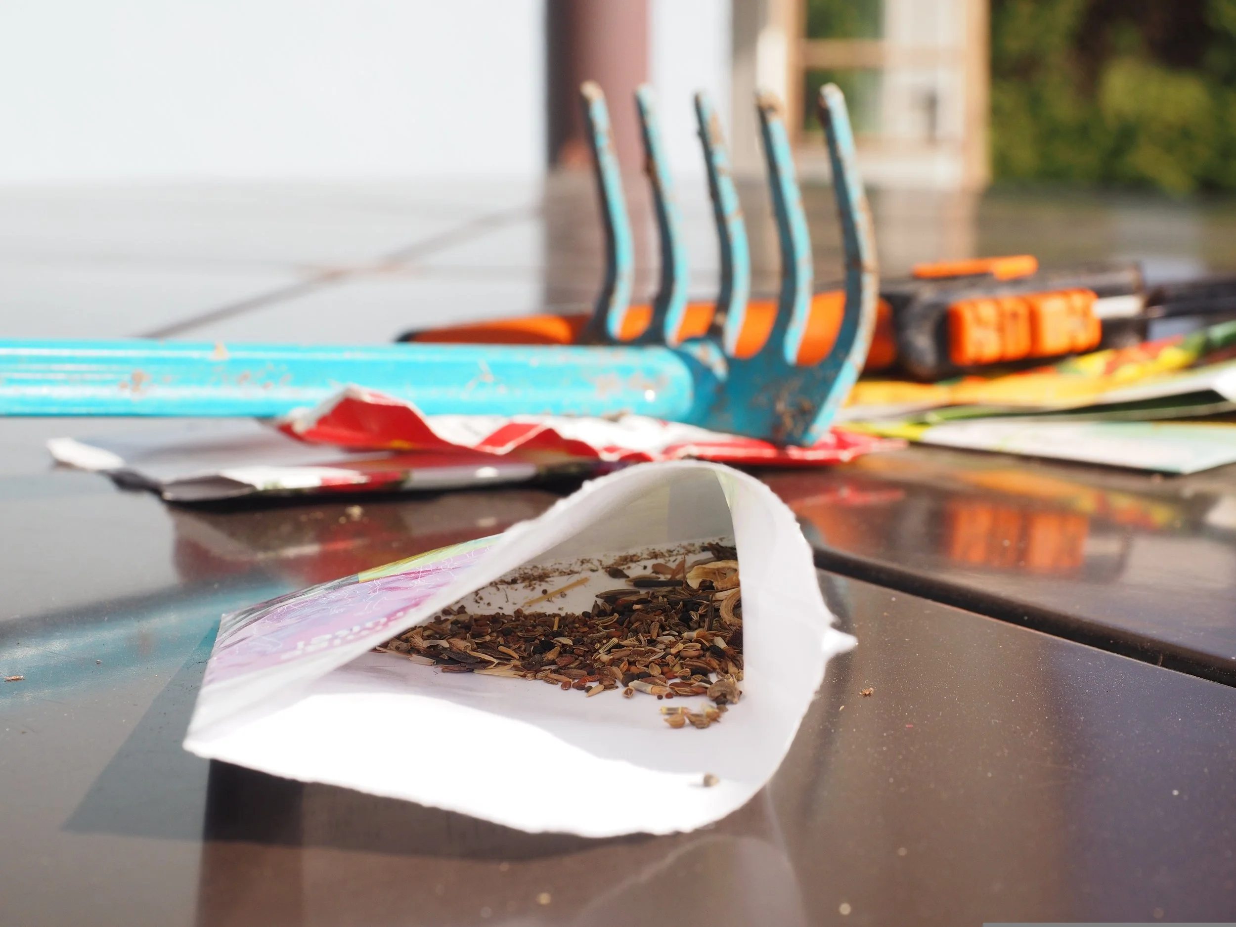 Ep. 385 | Sow These Perennial Plant Seed NOW!