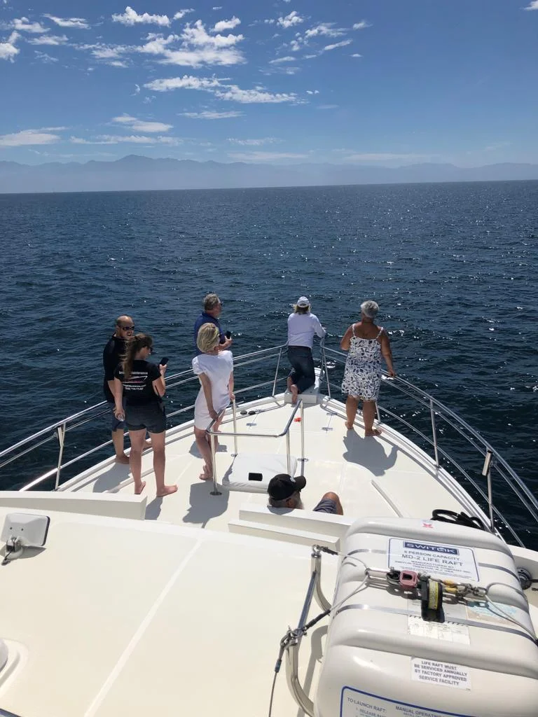 WhatsApp Image 2019-03-04 at 12.09.45 PM.jpeg