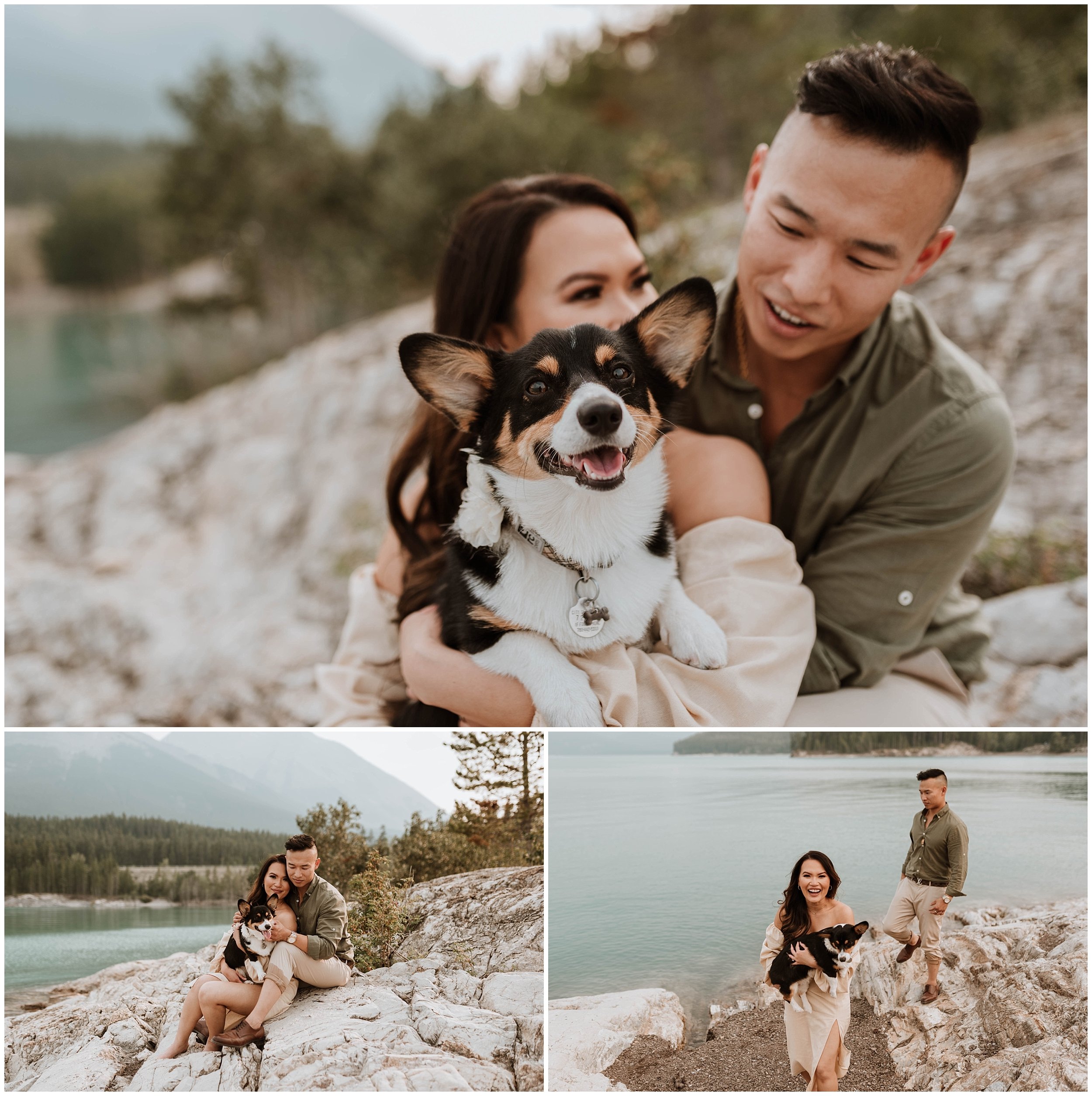 Corgi at engagement session