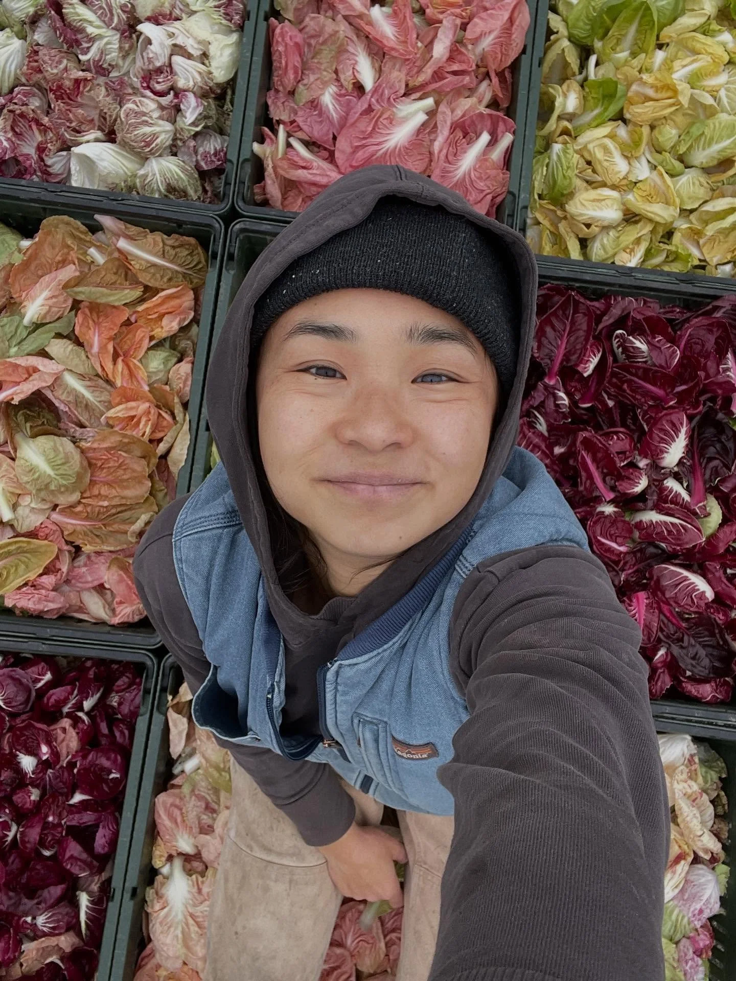 🌟CHICORIES FOR PRESIDENT🌟

We&rsquo;re nearing the end of our harvest season and going out with a bang tomorrow at the last King Farmers Market! @baileyallegro and I will coming with LOADS of chicory mix, winter squash, and other fall staples. 

Co