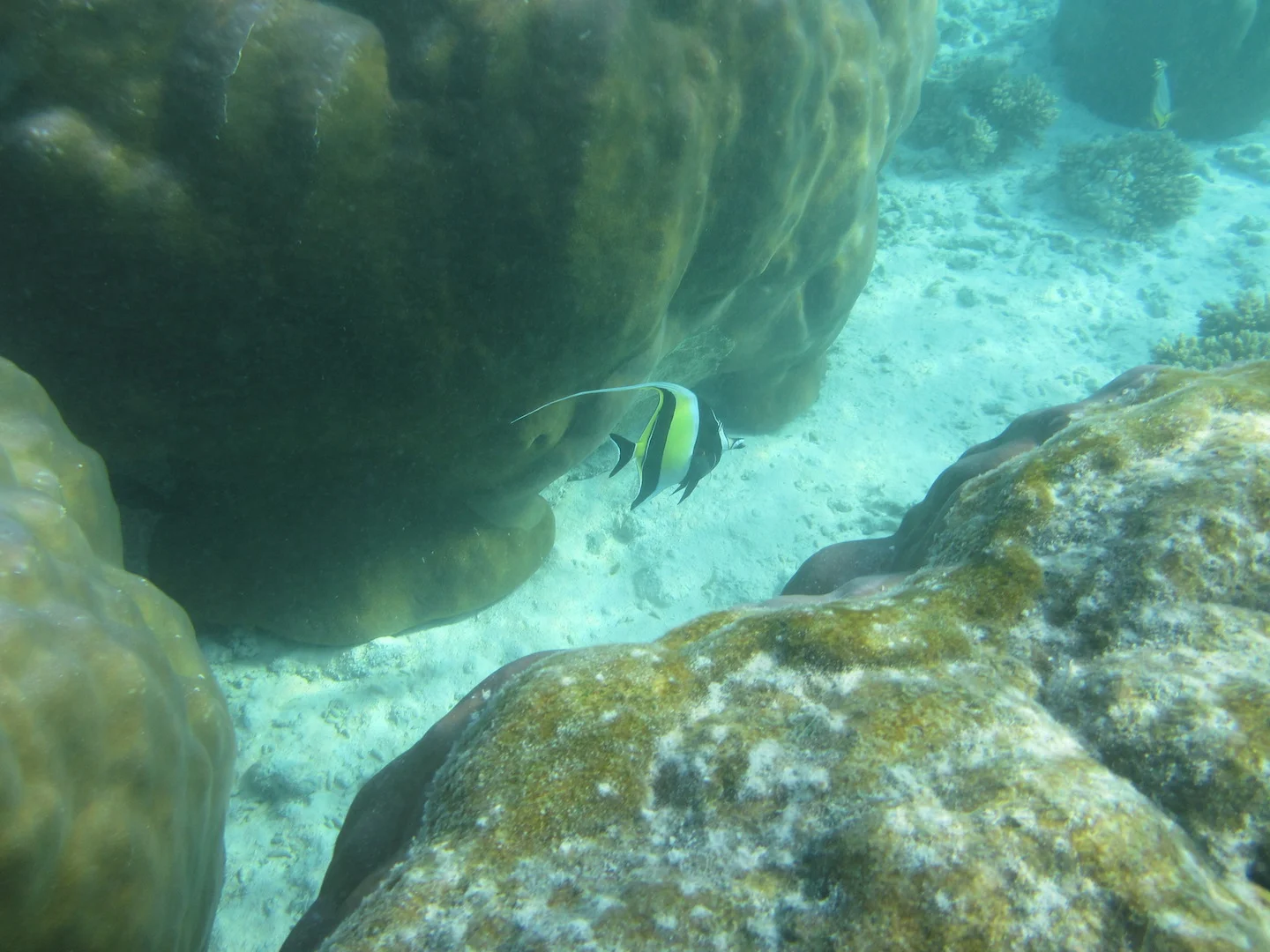 IMG_3413.JPG