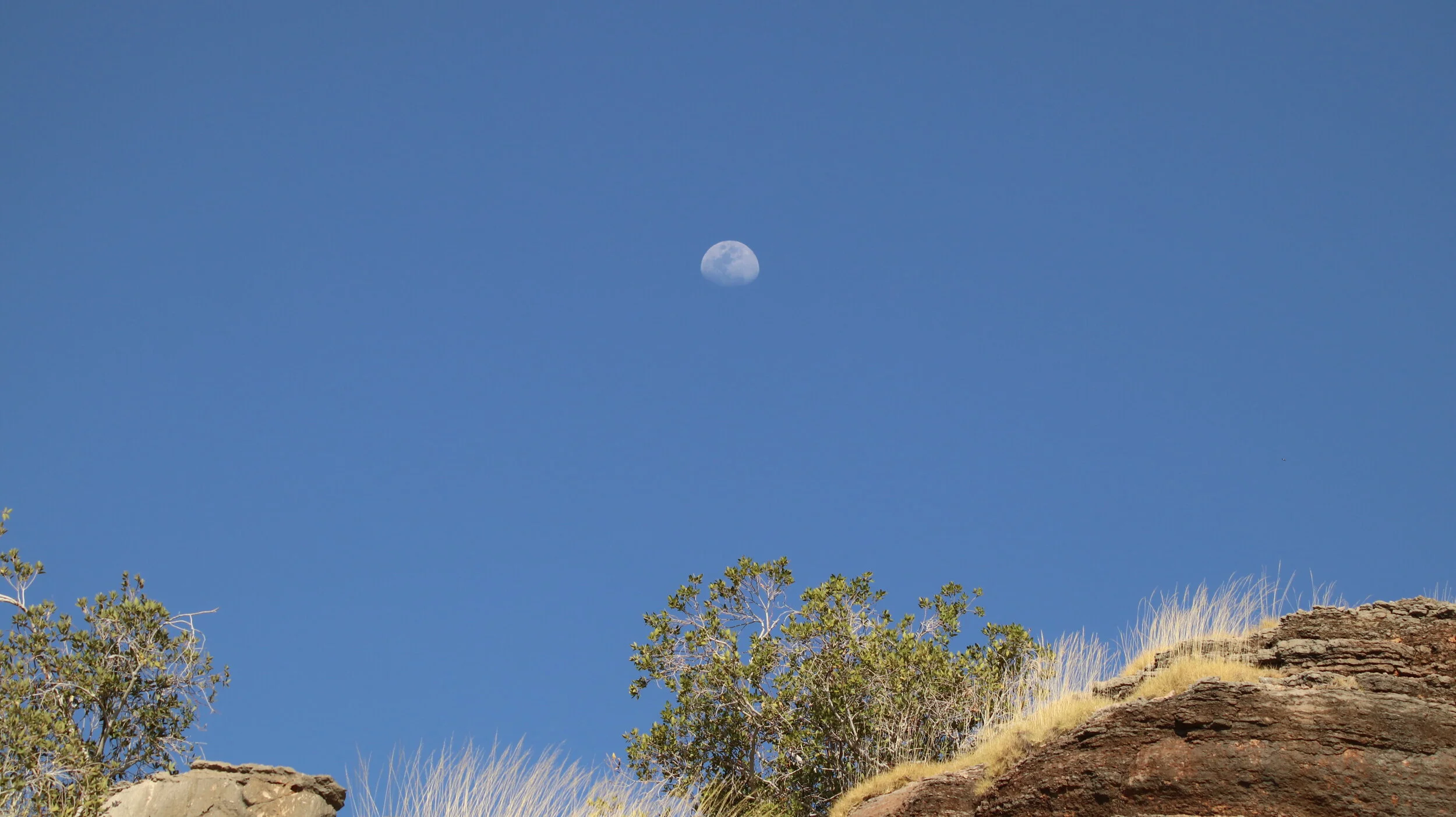 IMG_4783.JPG