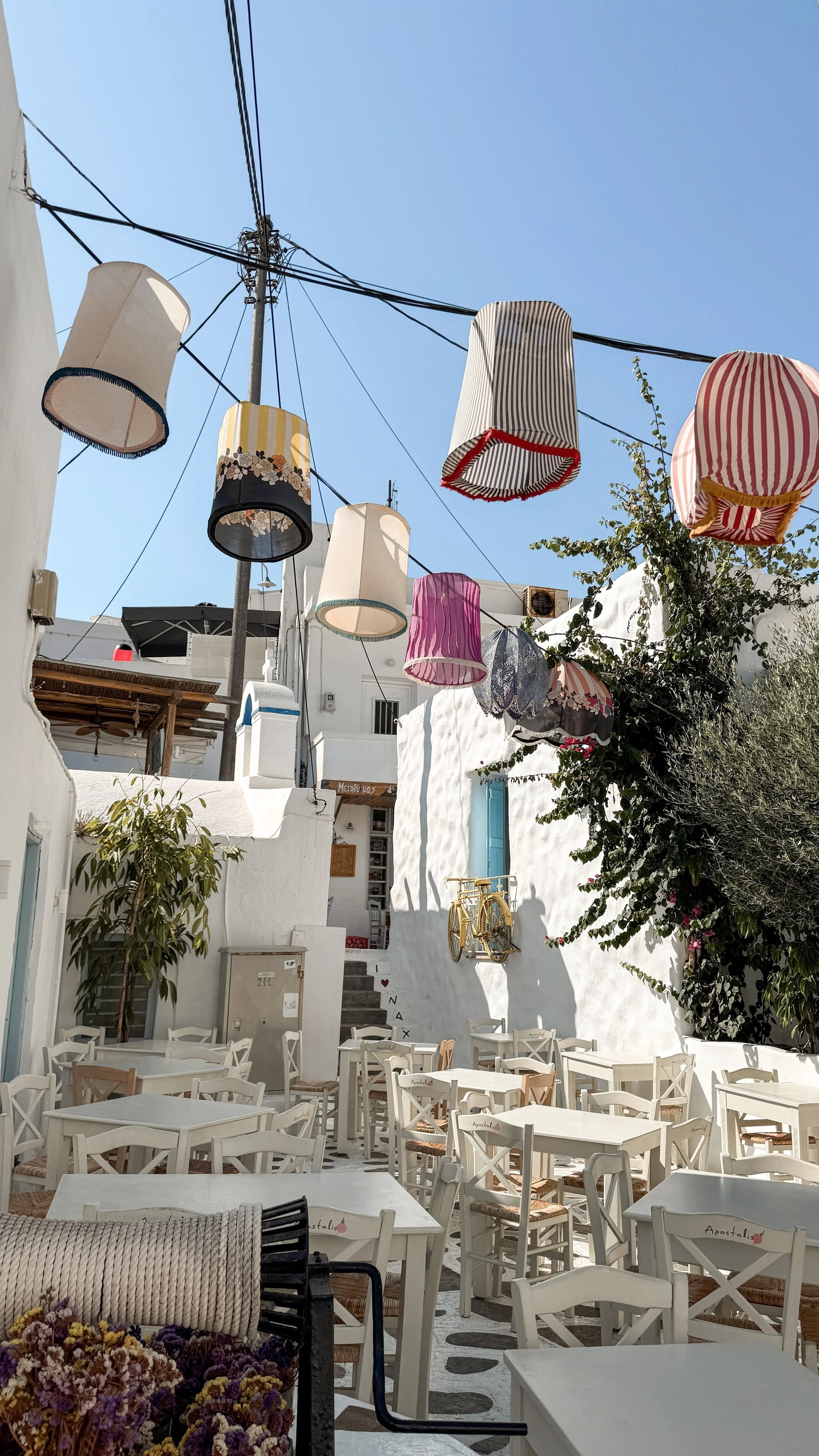 Apostolis Taverna - Naxos Town