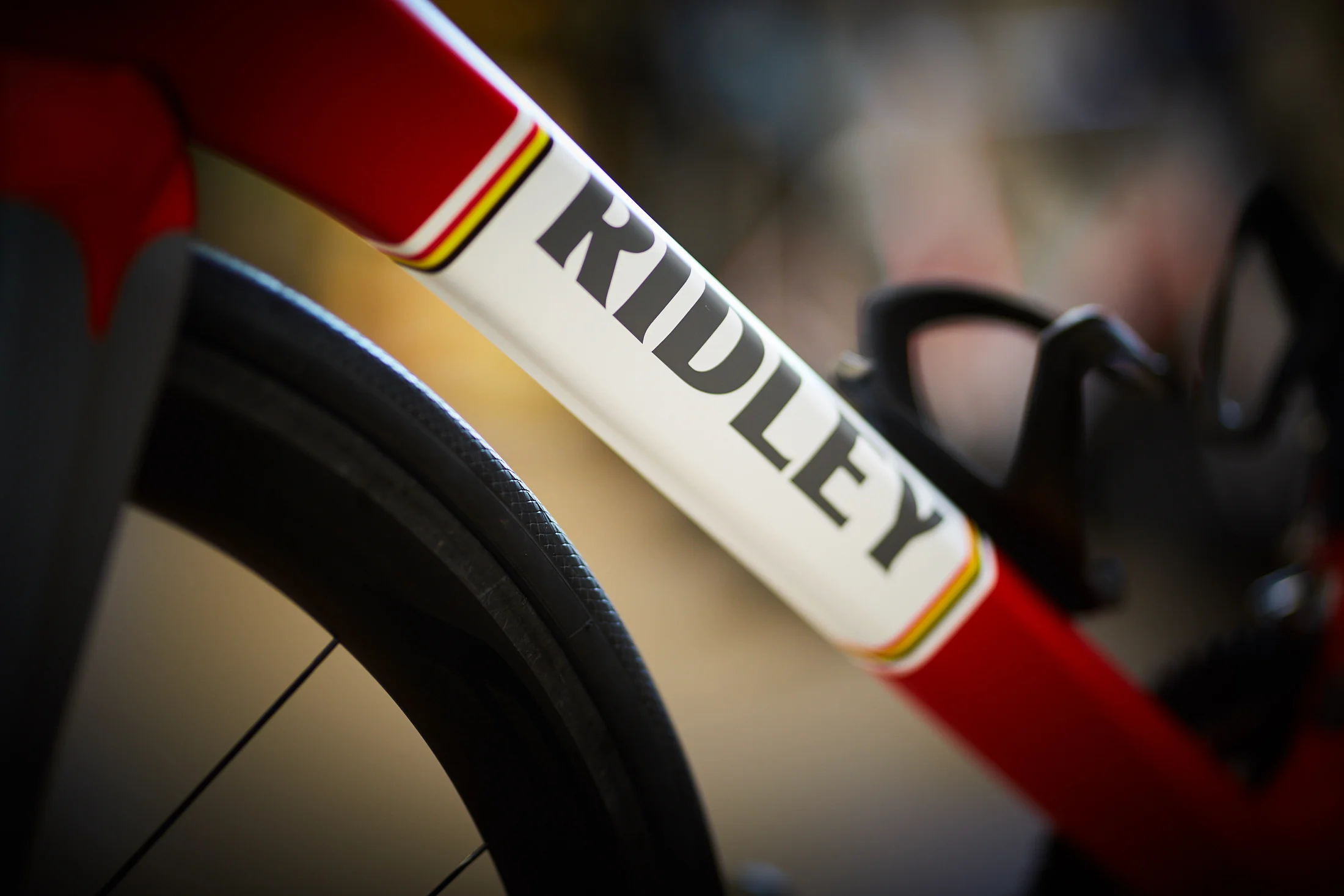 VF-Bike-fev-2019-09.jpg