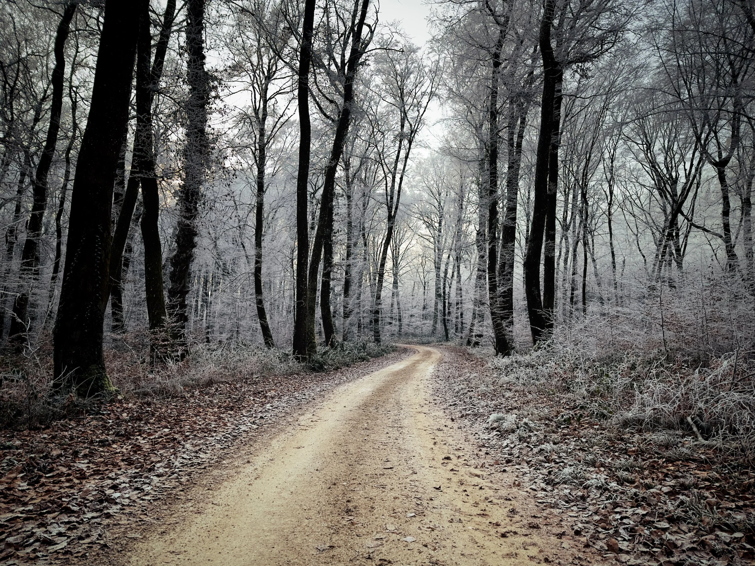 Inscription à l'Arel Gravel 2023 + 1 café ou thé