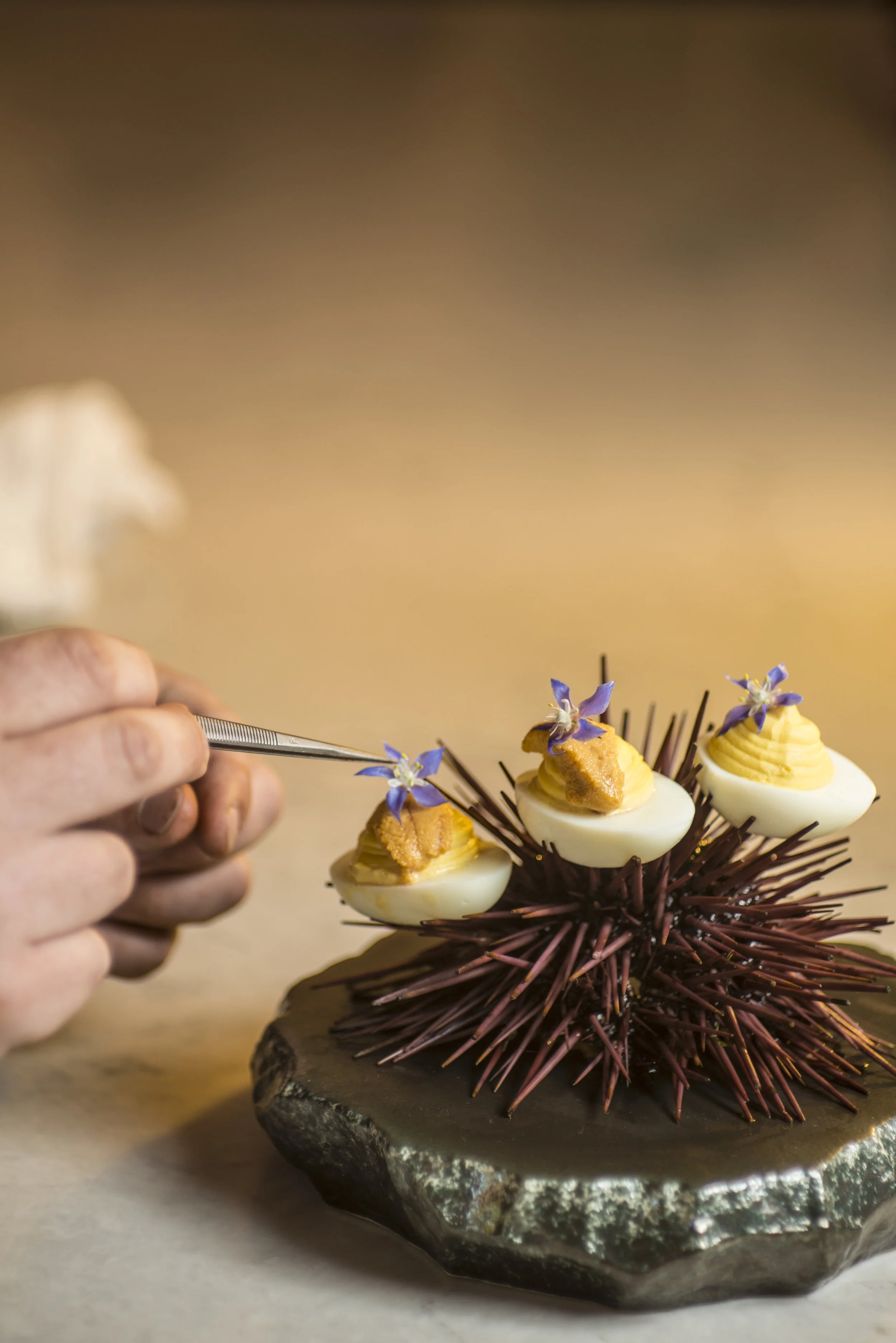 Photo by Fran Collin