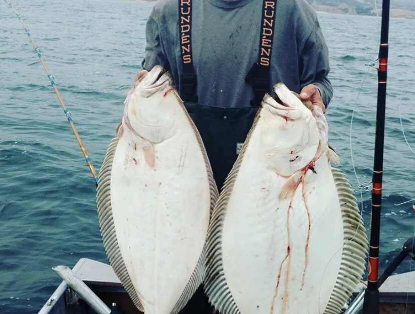 halibut2.jpg
