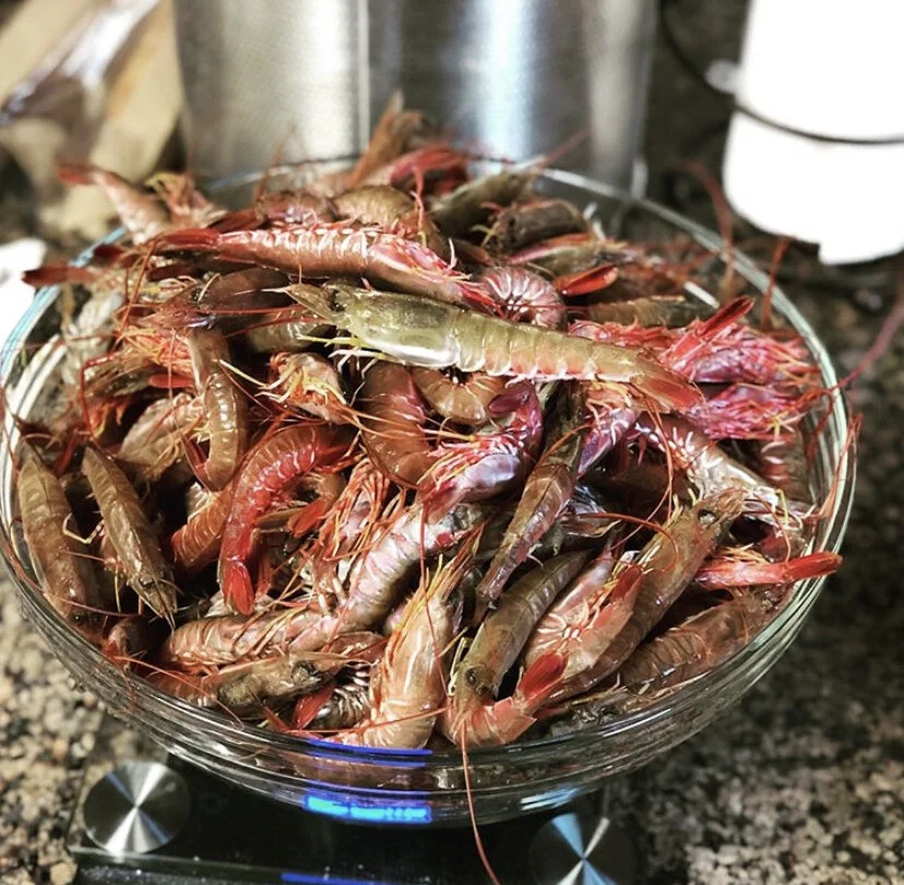 43683722-0E59-42A0-AF43-F7A1F3C7D536