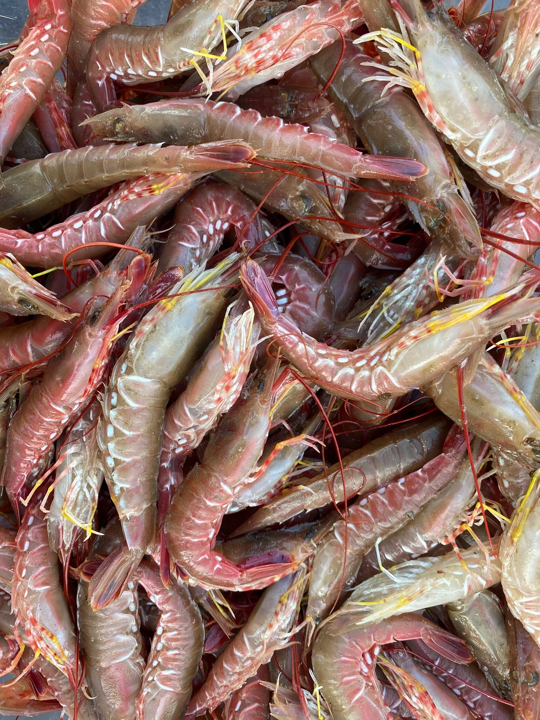 3EEF1F22-AAC8-4DB7-92D2-5B21B41A23F8