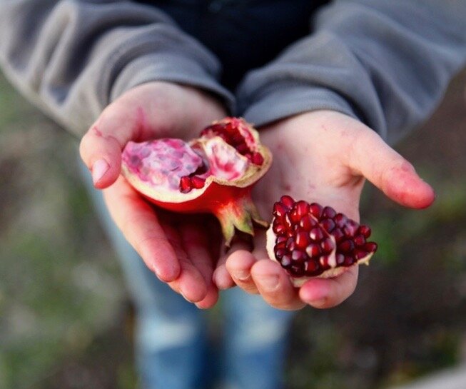 818516C4-4C1D-46C7-A968-89375F16CBC9