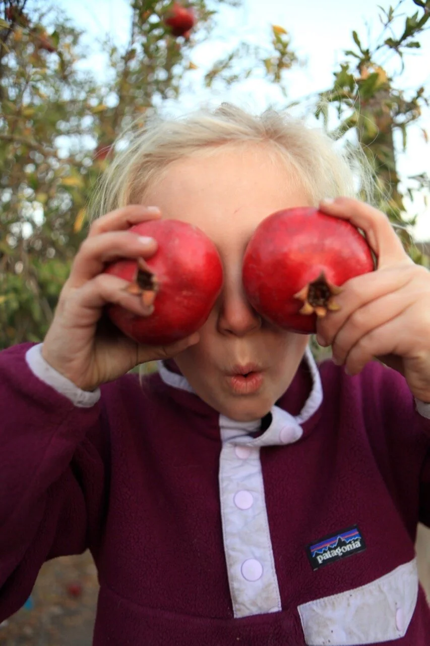 D1B5370F-8831-44BD-B58D-56E741E45364