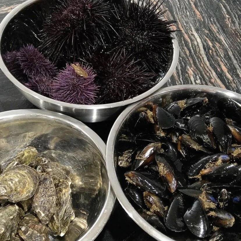 mussel3.JPG