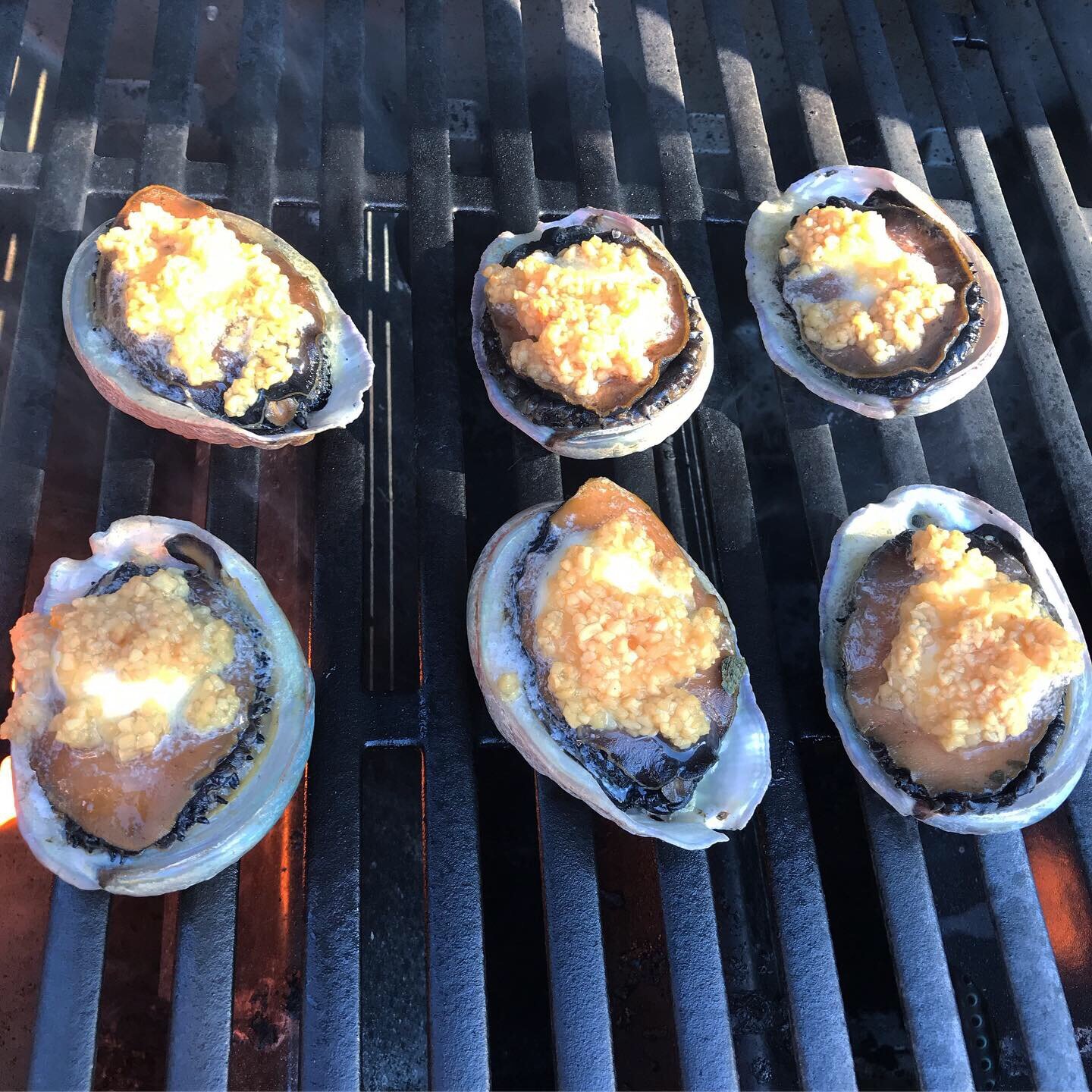 abalone.JPG