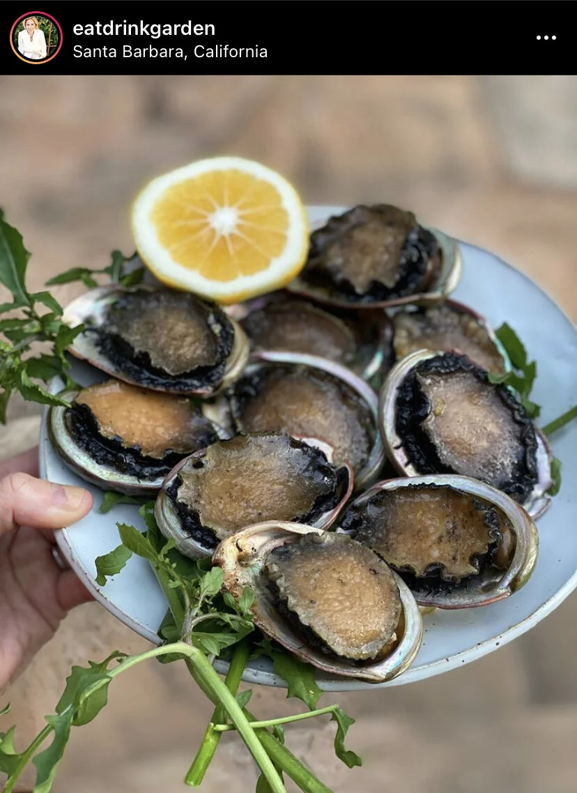 abalone2.jpg