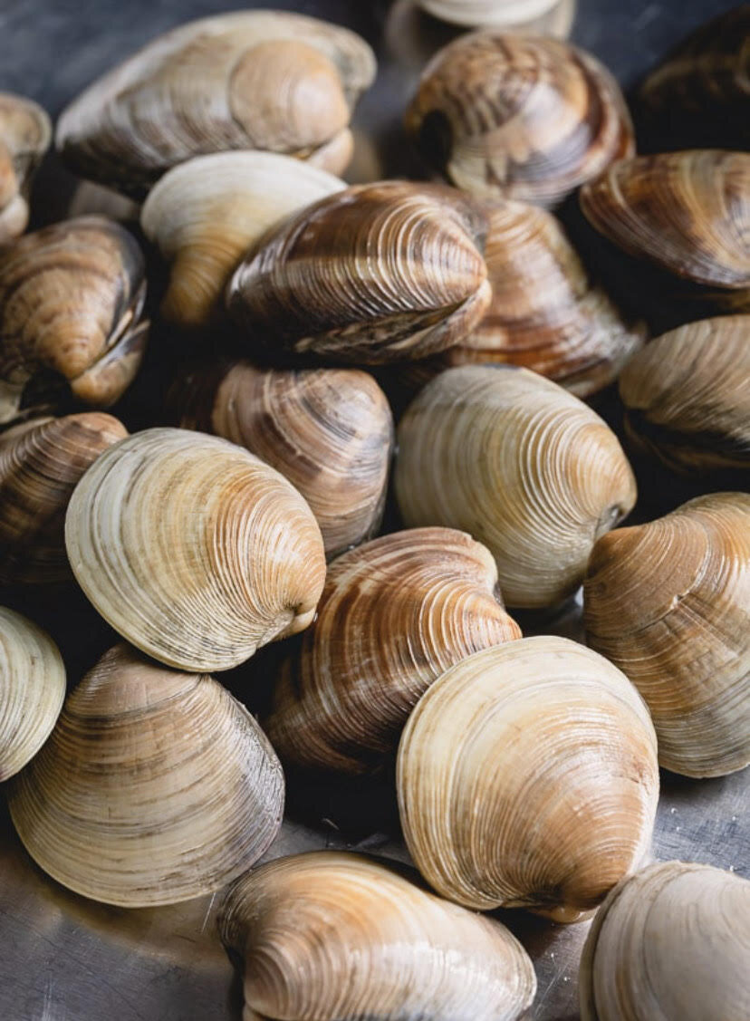 clams1.jpg