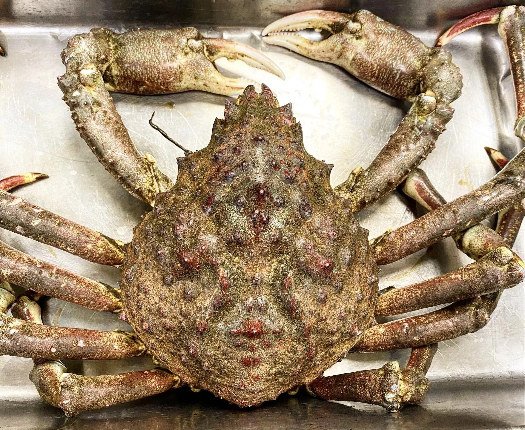 54133805-6612-41D2-B243-8704D2D4E51E