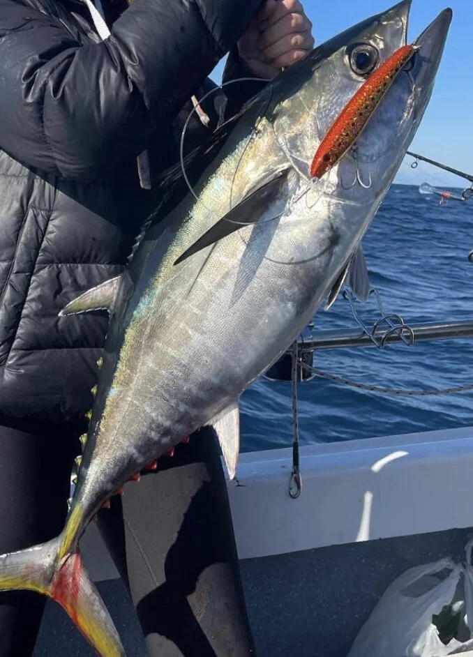 ECD45C4F-C98D-4256-8396-0BBD9B850E67