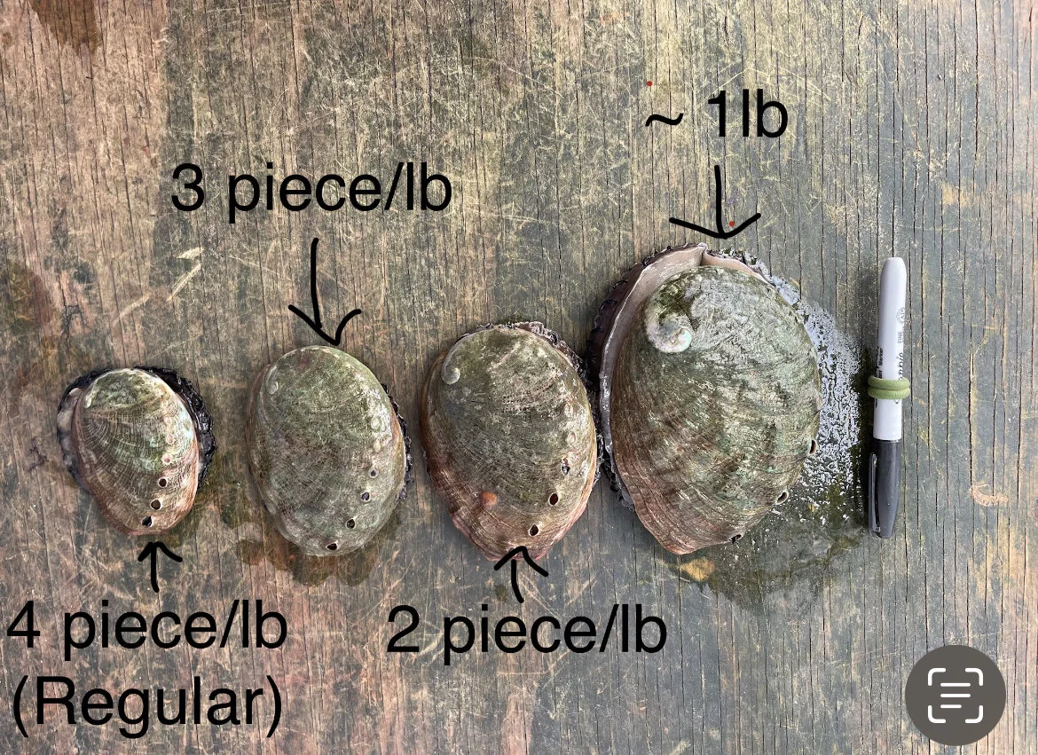 5F597AC1-7F11-48BF-84D0-F0EE51B4D42D