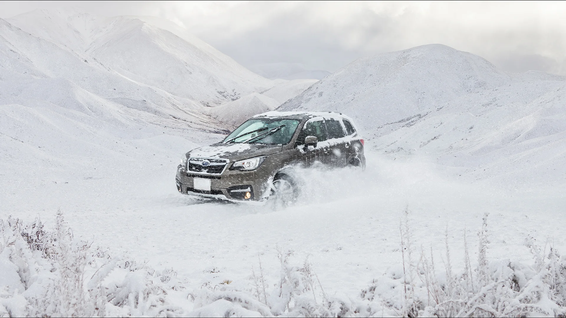 Subaru Snow.jpg