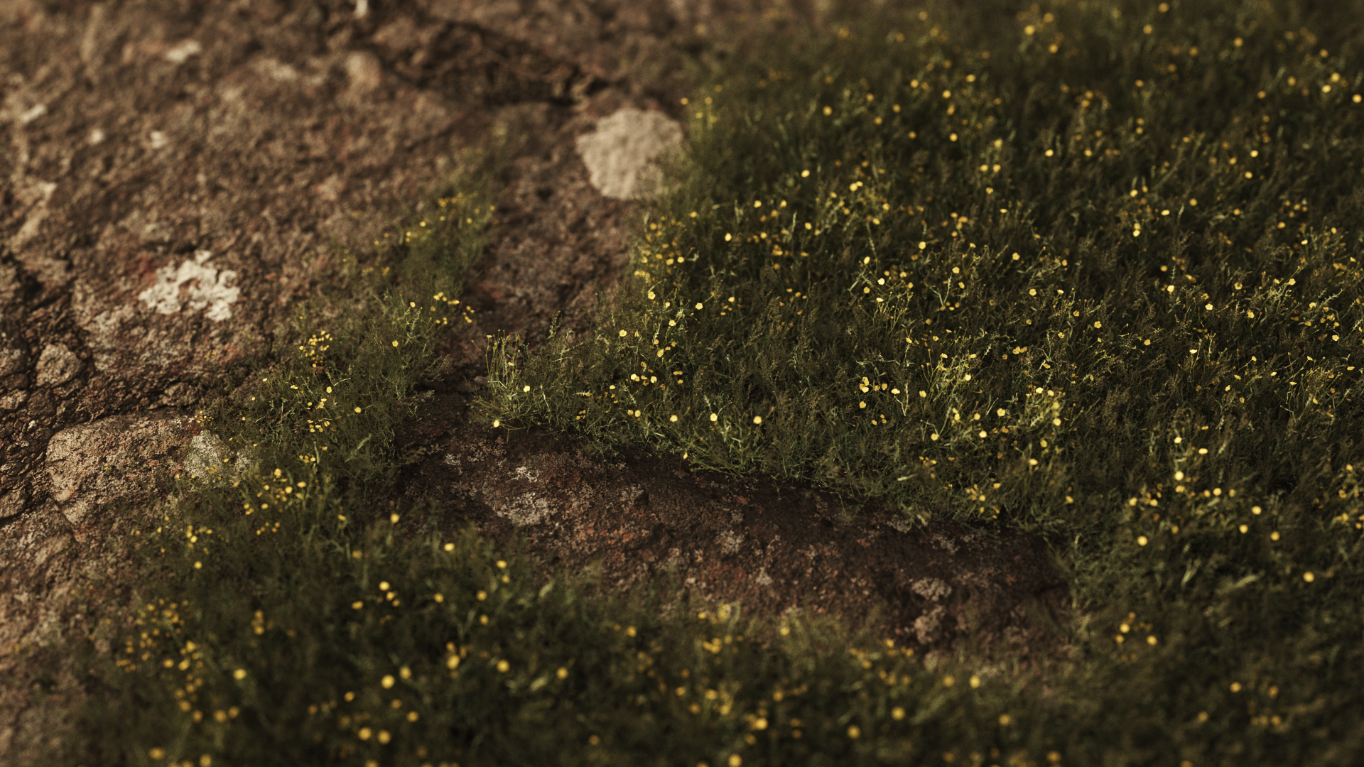 Scene 1 Growth mcart Final0084.png
