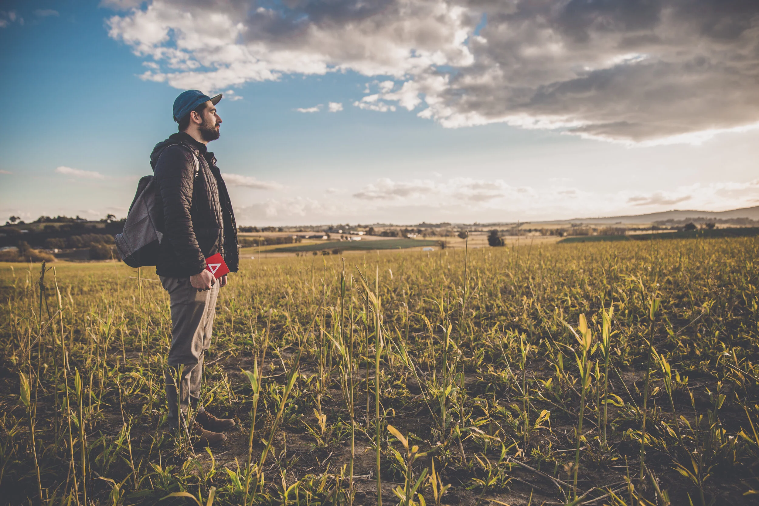 Field Of Grass.JPG