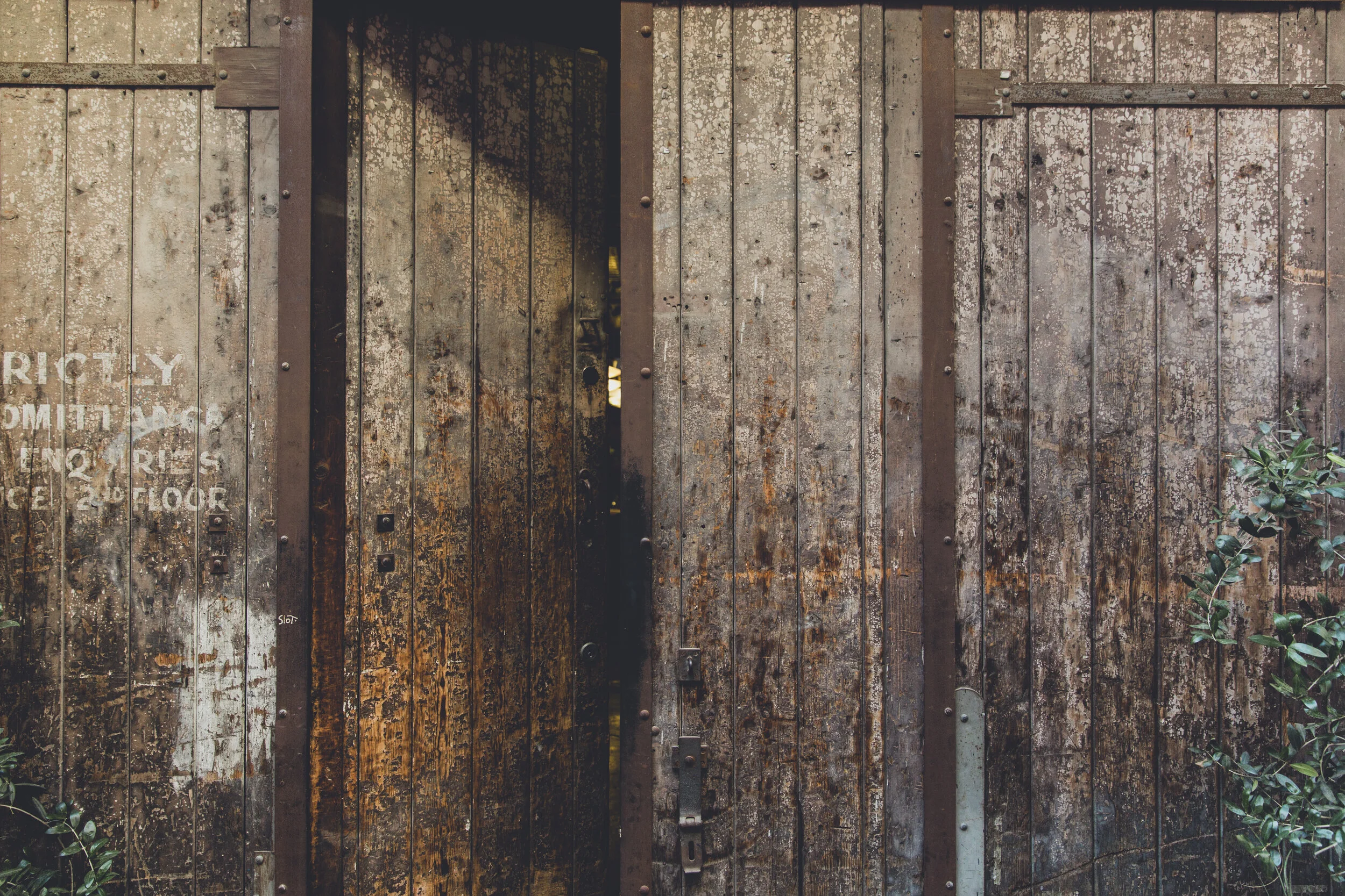 The Door Vintage.JPG
