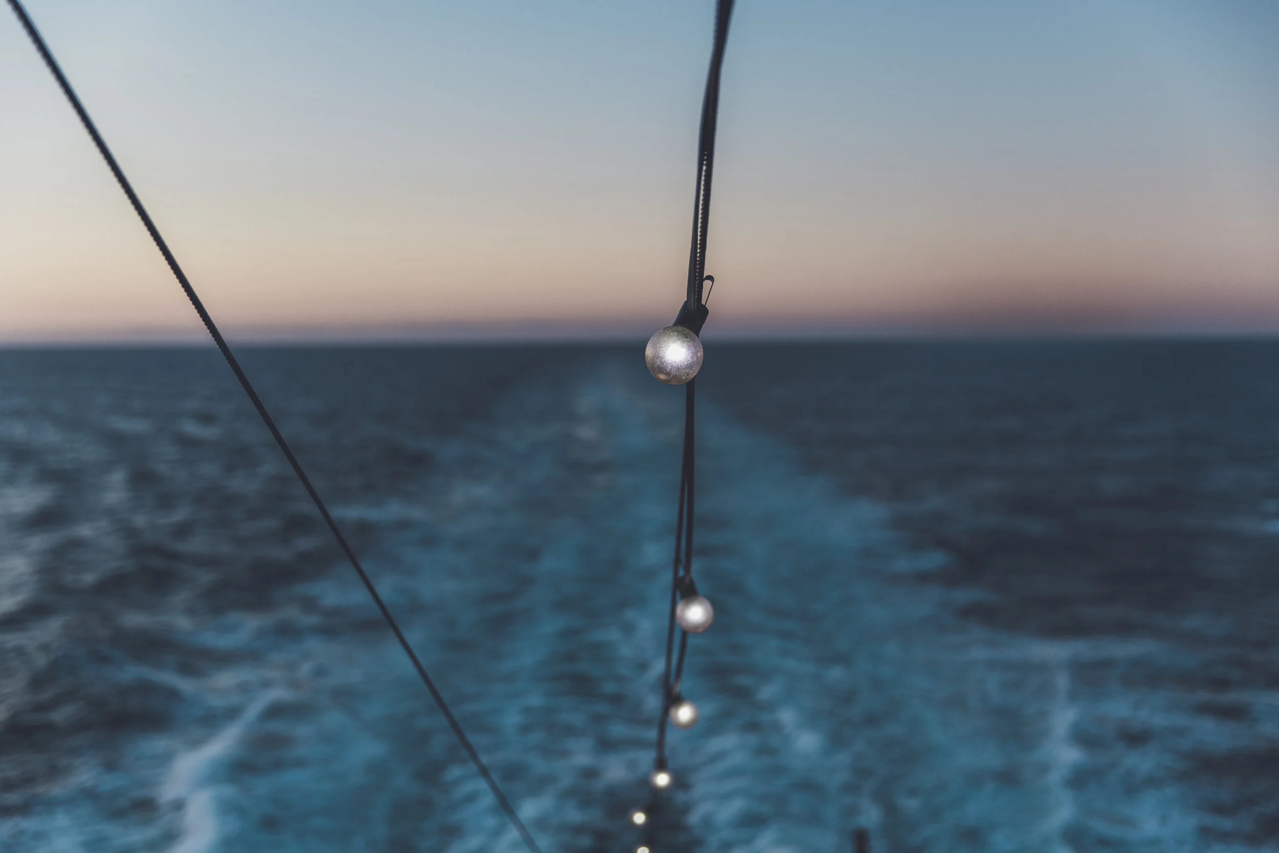 Boat Trips Lights2.JPG