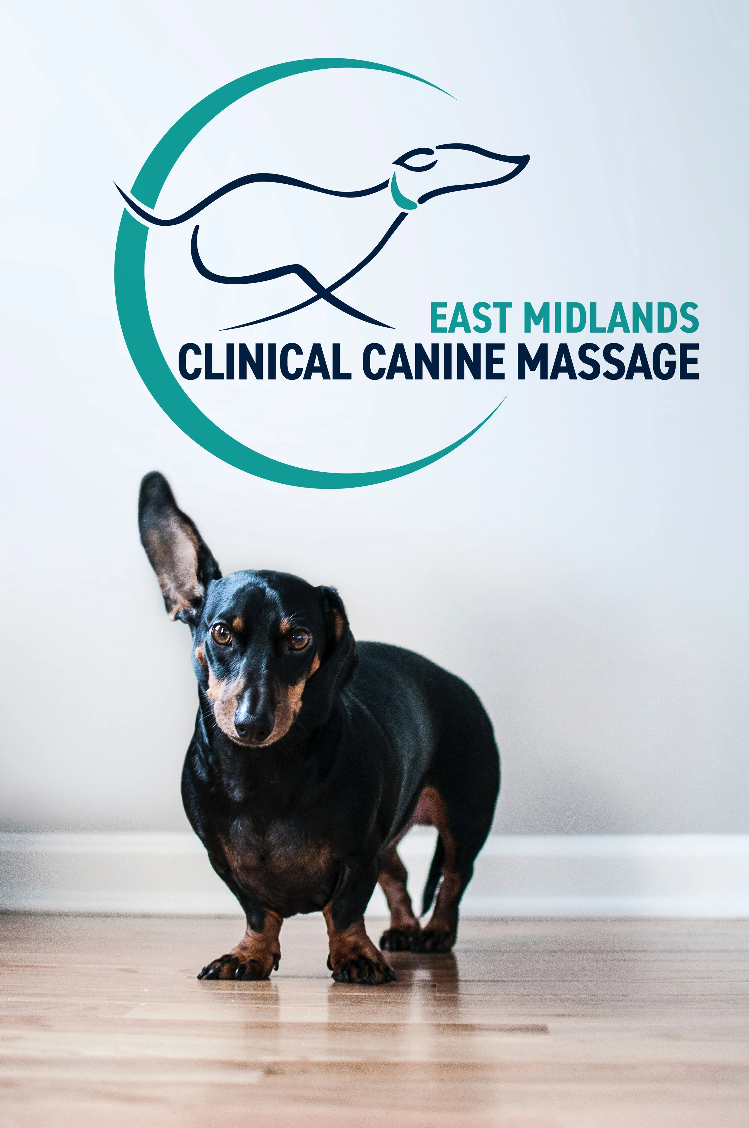 EMCCM CHOSEN MOCK UP.jpg