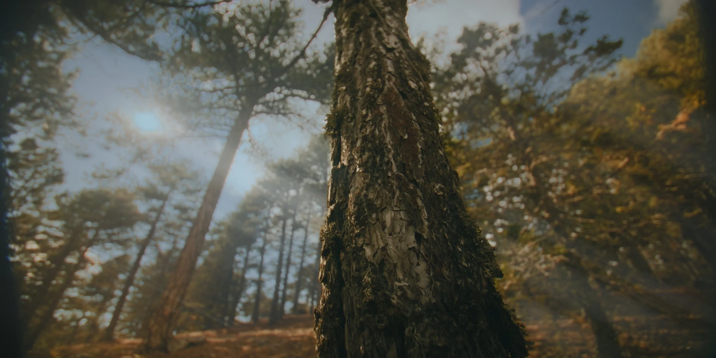 Still 2025-11-27 234019_2.7.1.jpg