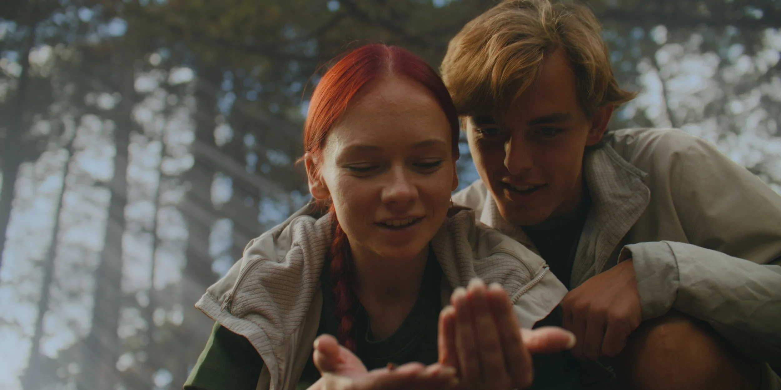 Echoes of the Island