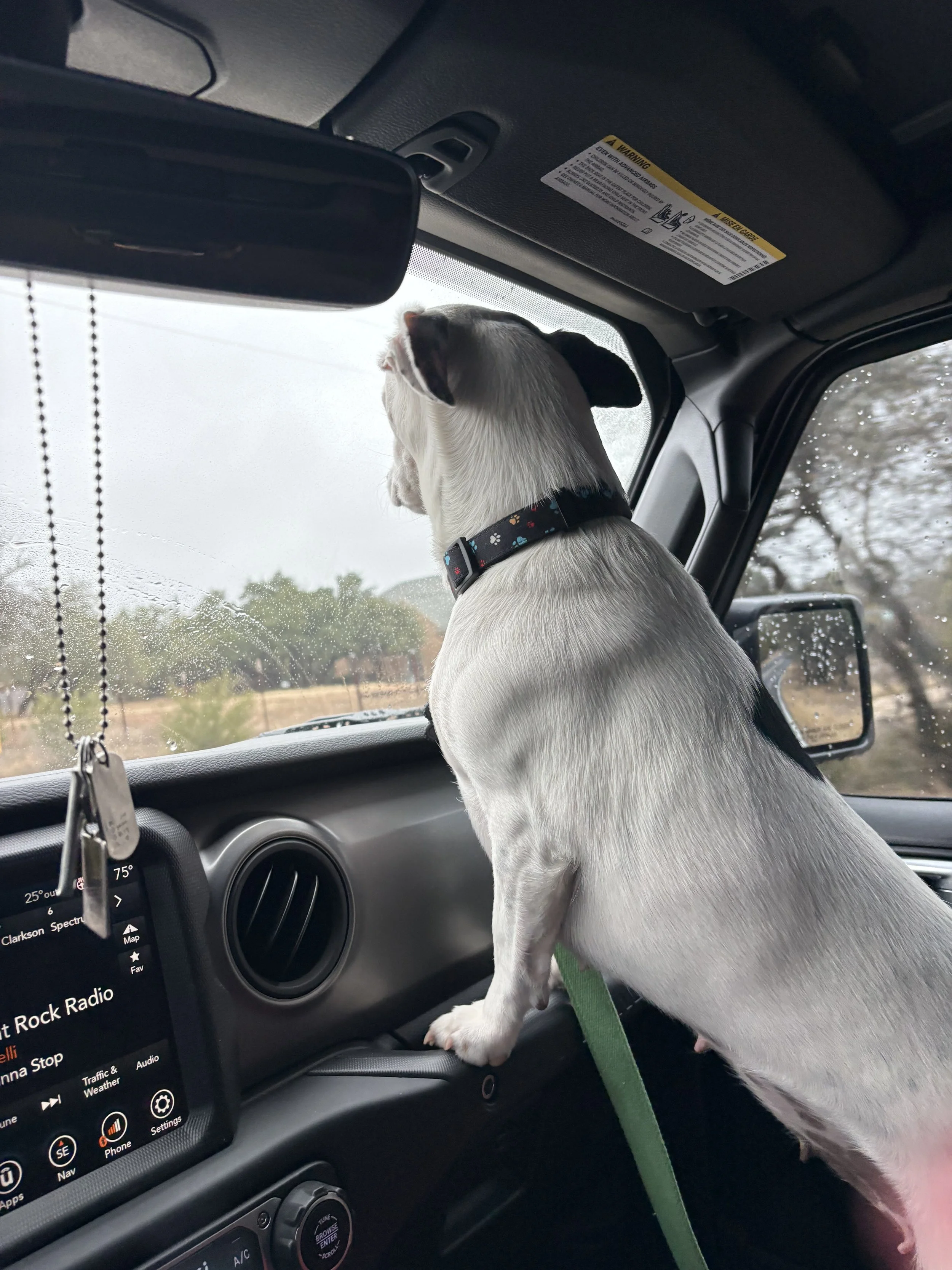 IMG_5642 - Lori Fox.jpeg