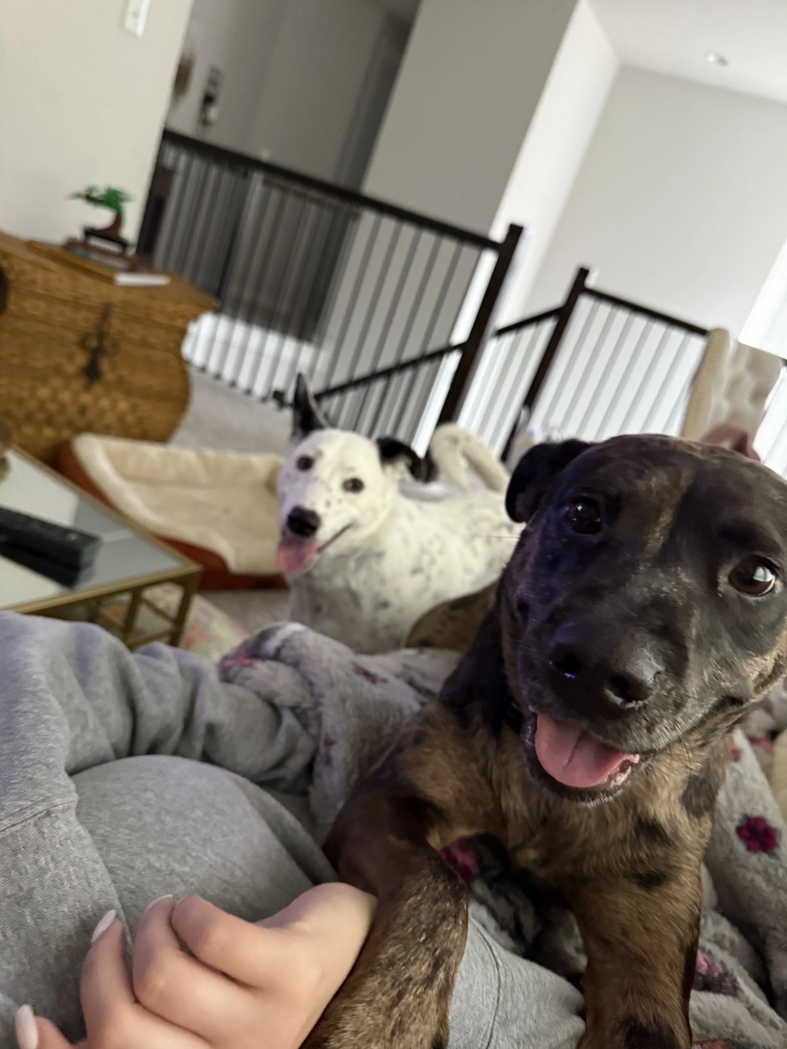 IMG_8046 - Deion Rivers.jpeg