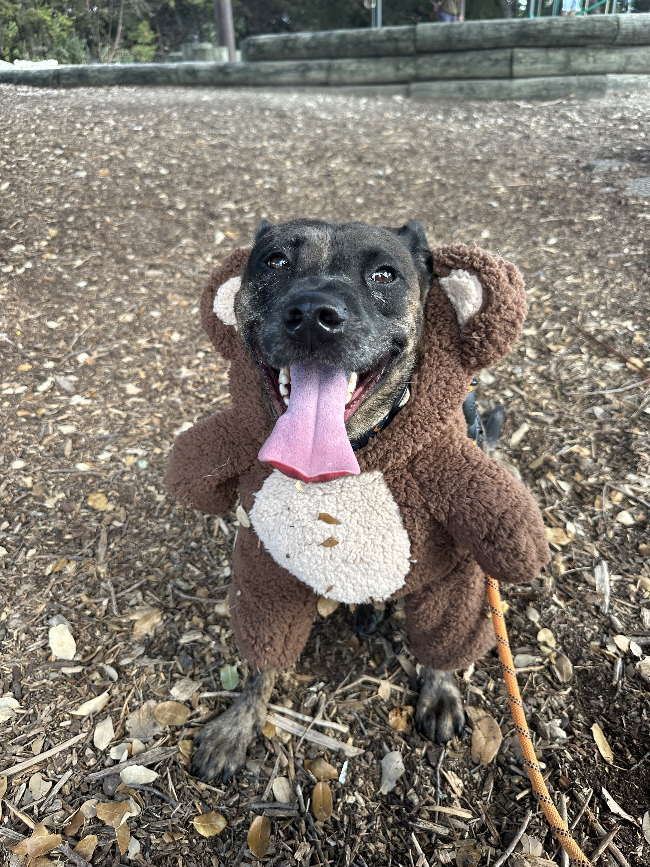 IMG_7997 - Deion Rivers.jpeg