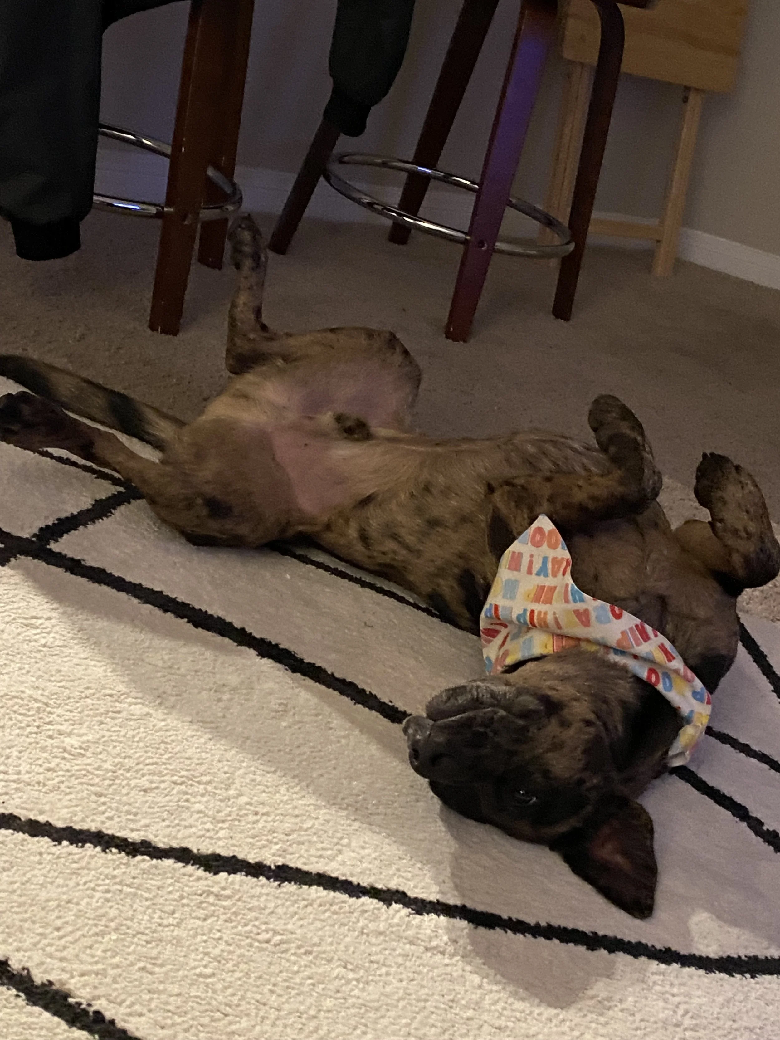 IMG_7882 - Deion Rivers.jpeg