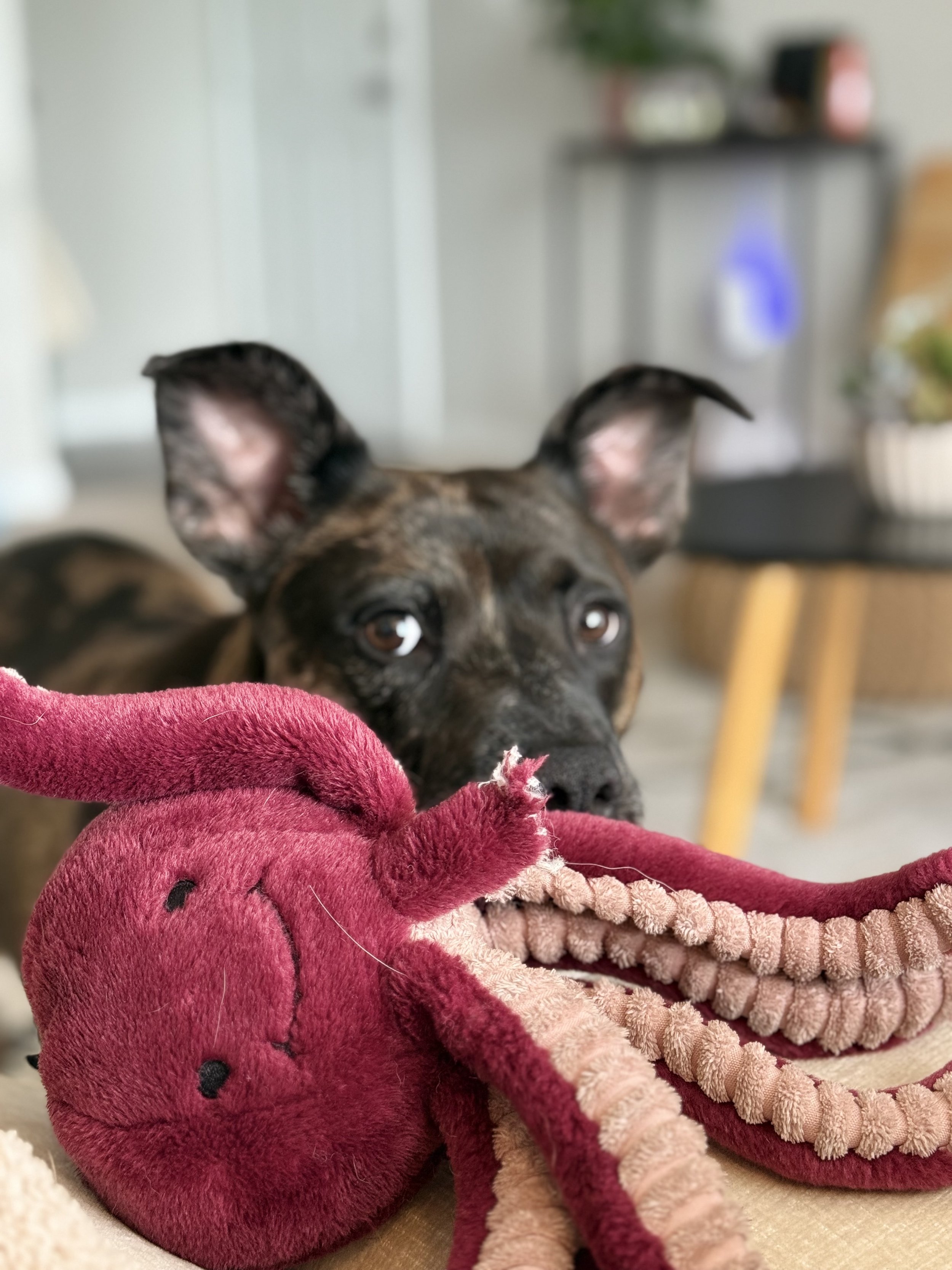 IMG_8627 - Deion Rivers.jpeg