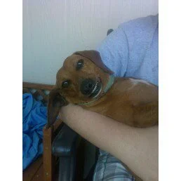 7-31-2010 - Cosmo.jpg