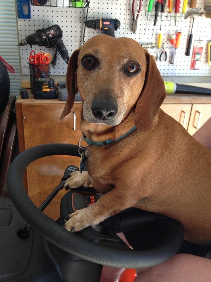 4-14-2014 - Cosmo.jpg