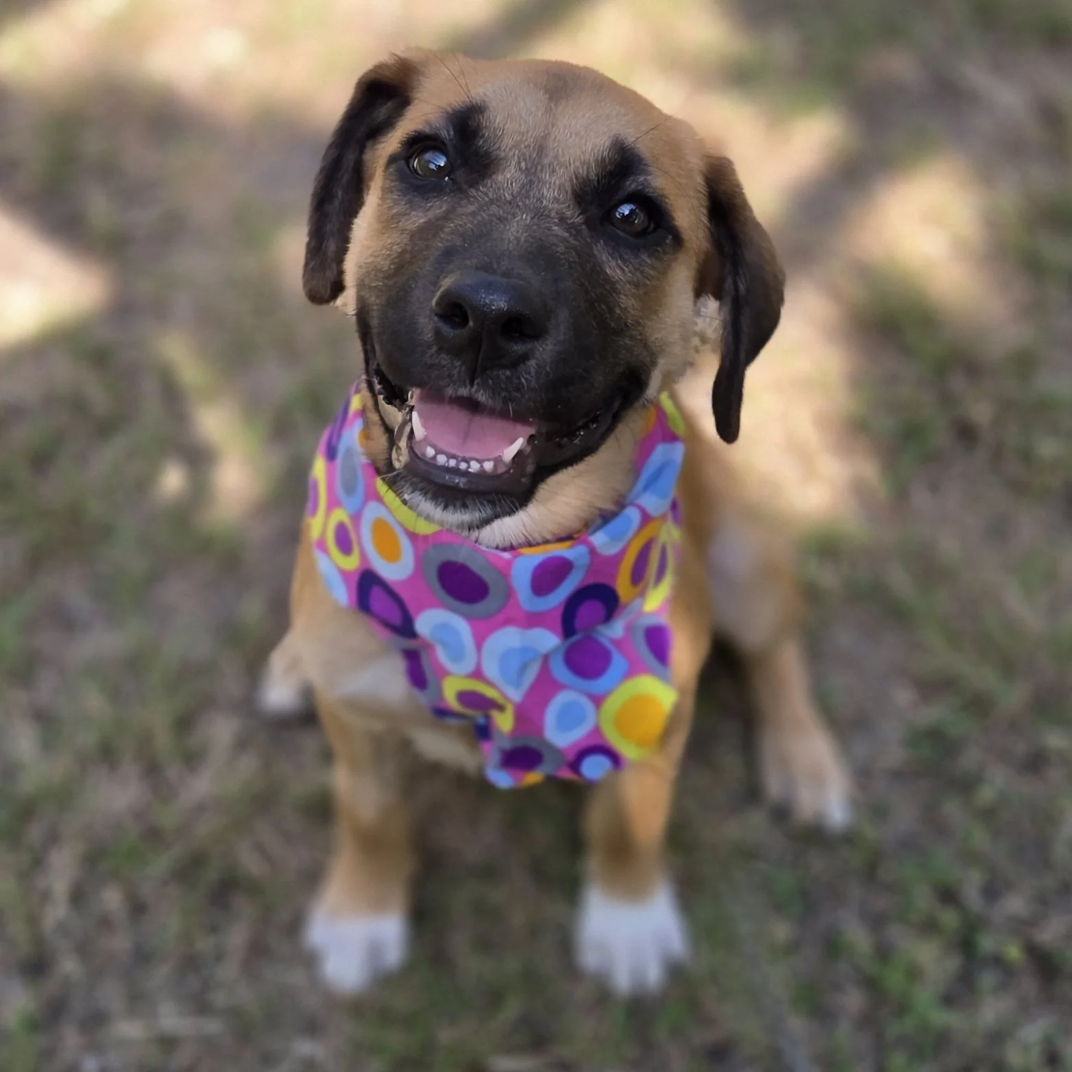 Jasmine (4).jpeg