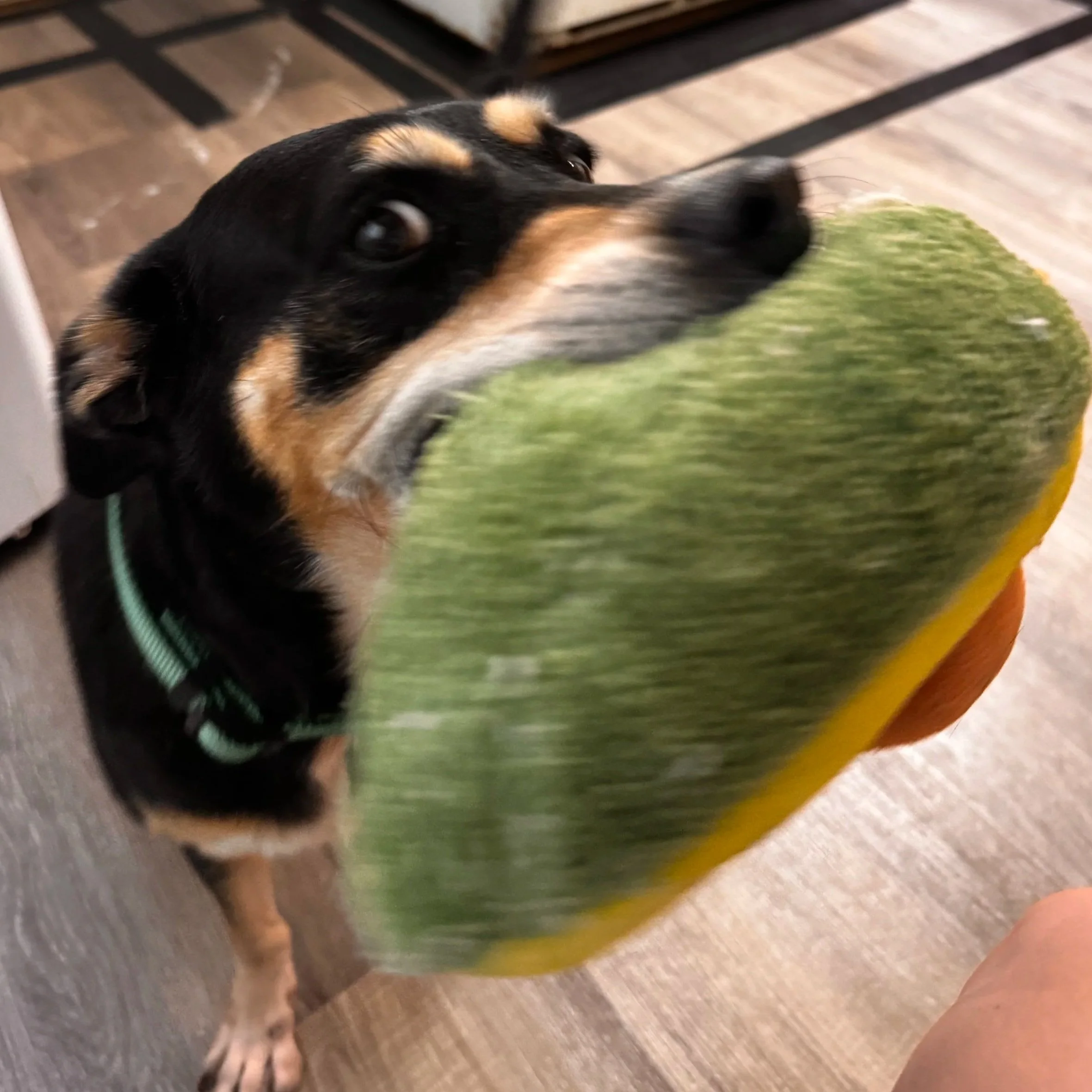pud1.jpg