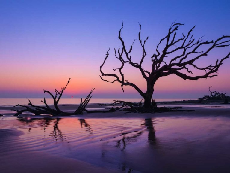 driftwood-horz-768x576.jpg