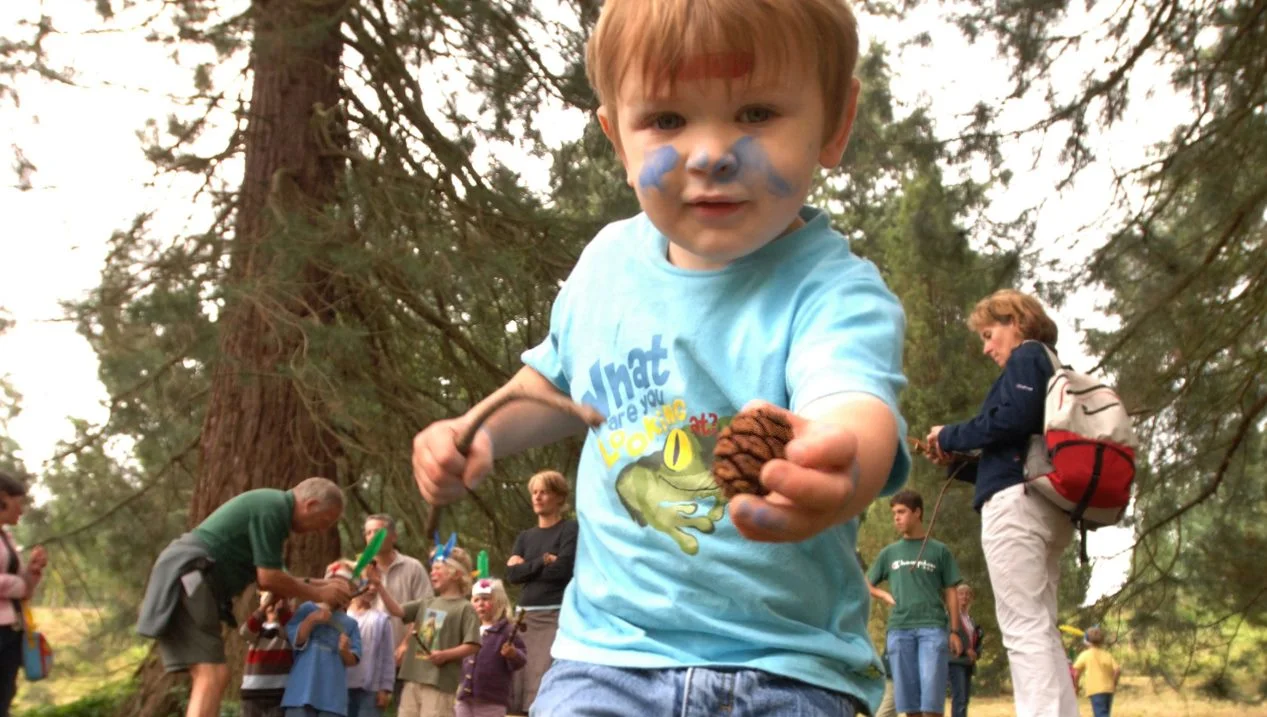 pinecone-treasure-hunt-bedgebury-pinetum-support-local-magazine.jpg