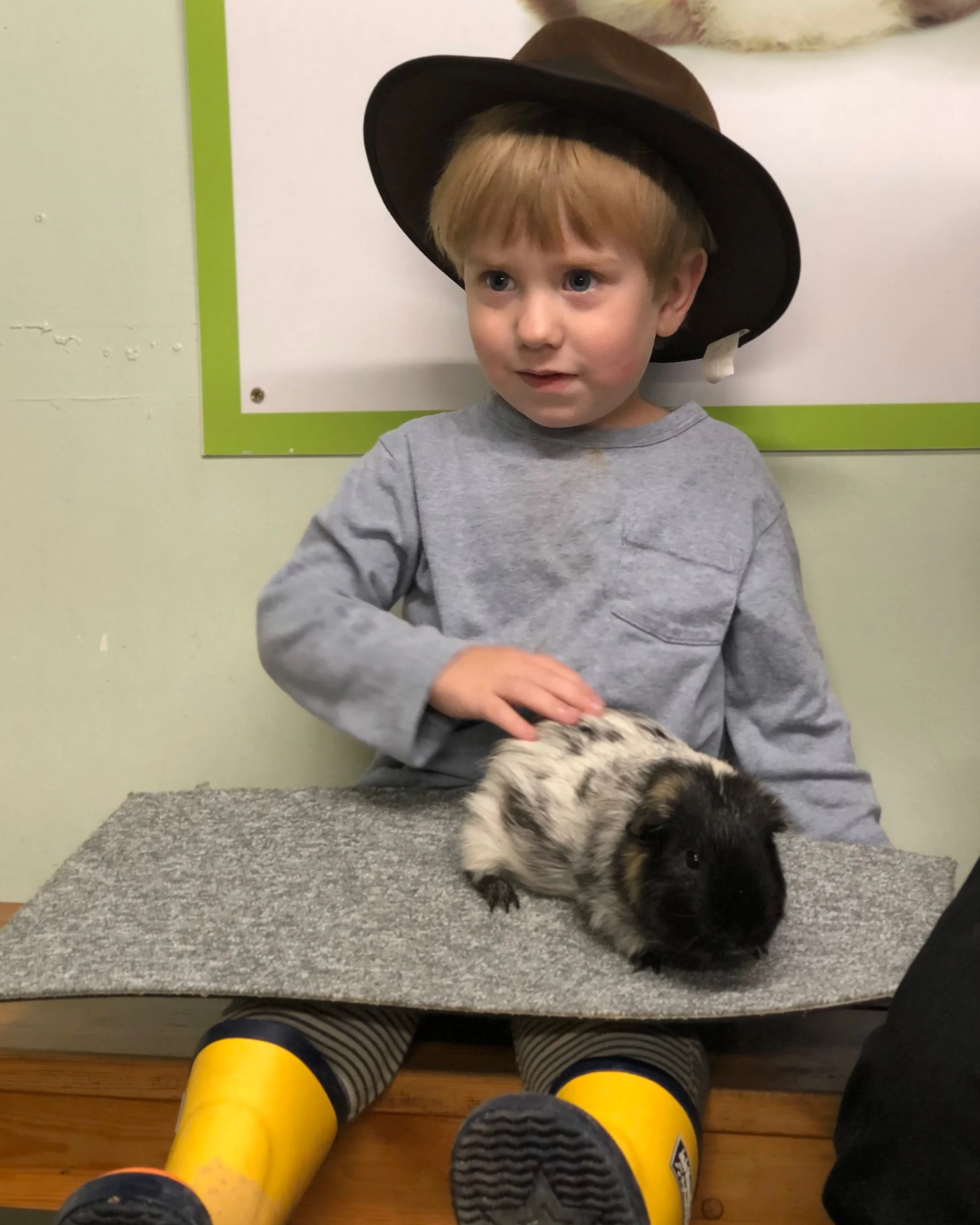 kent-life-farm-maidstone-family-day-out-support-local-magazine-animal-petting-ginea-pig.jpg
