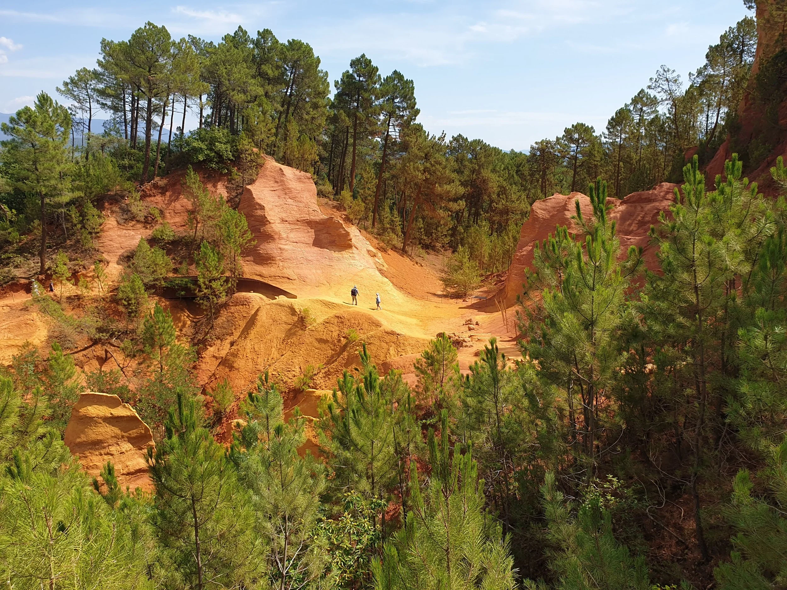 Trail running through a forested area with red rock formations and trees under a blue sky.