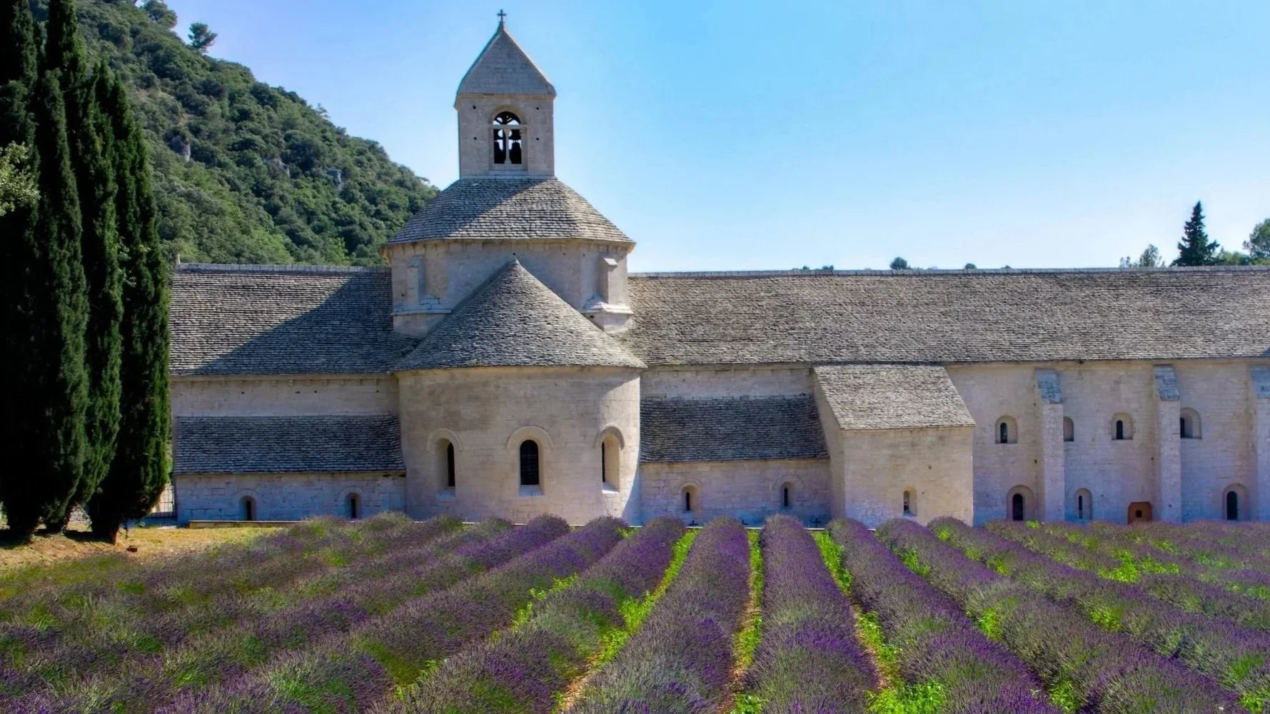 A stone church with a bell tower, located behind a lavender field with rows of purple flowers, set against a green hillside under a clear blue sky.
